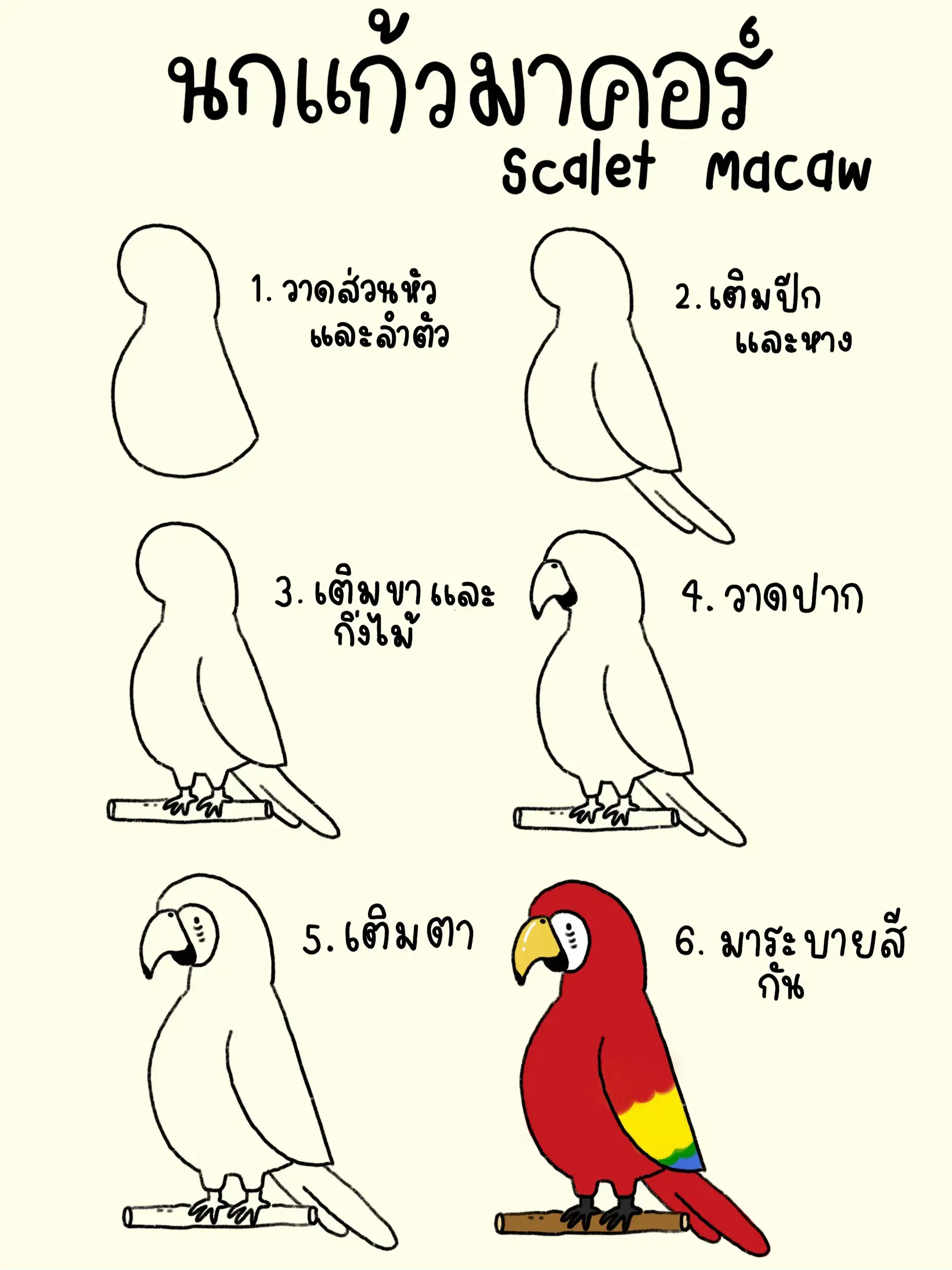 มาวาด🖍️ นกน่ารักๆ🦜💗 กันมั้ย | Dookdook·˚ ༘♡が投稿したフォトブック | Lemon8