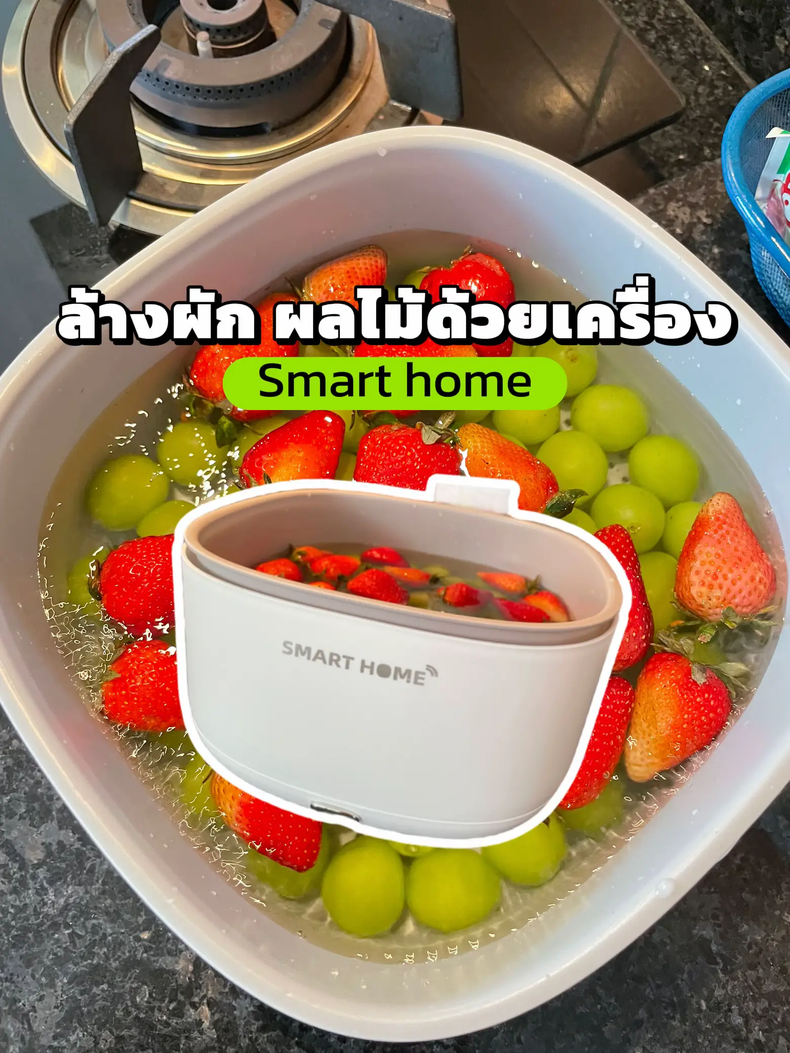 Fruit and Vegetable Washer - Smart