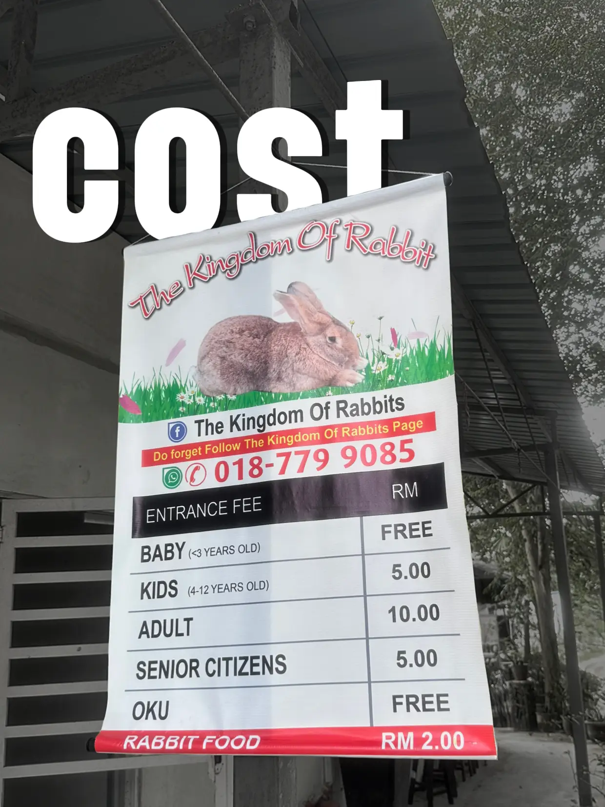 JB DAY-TRIP ACTIVITY - RABBIT FARM | Gallery posted by aerith wen | Lemon8
