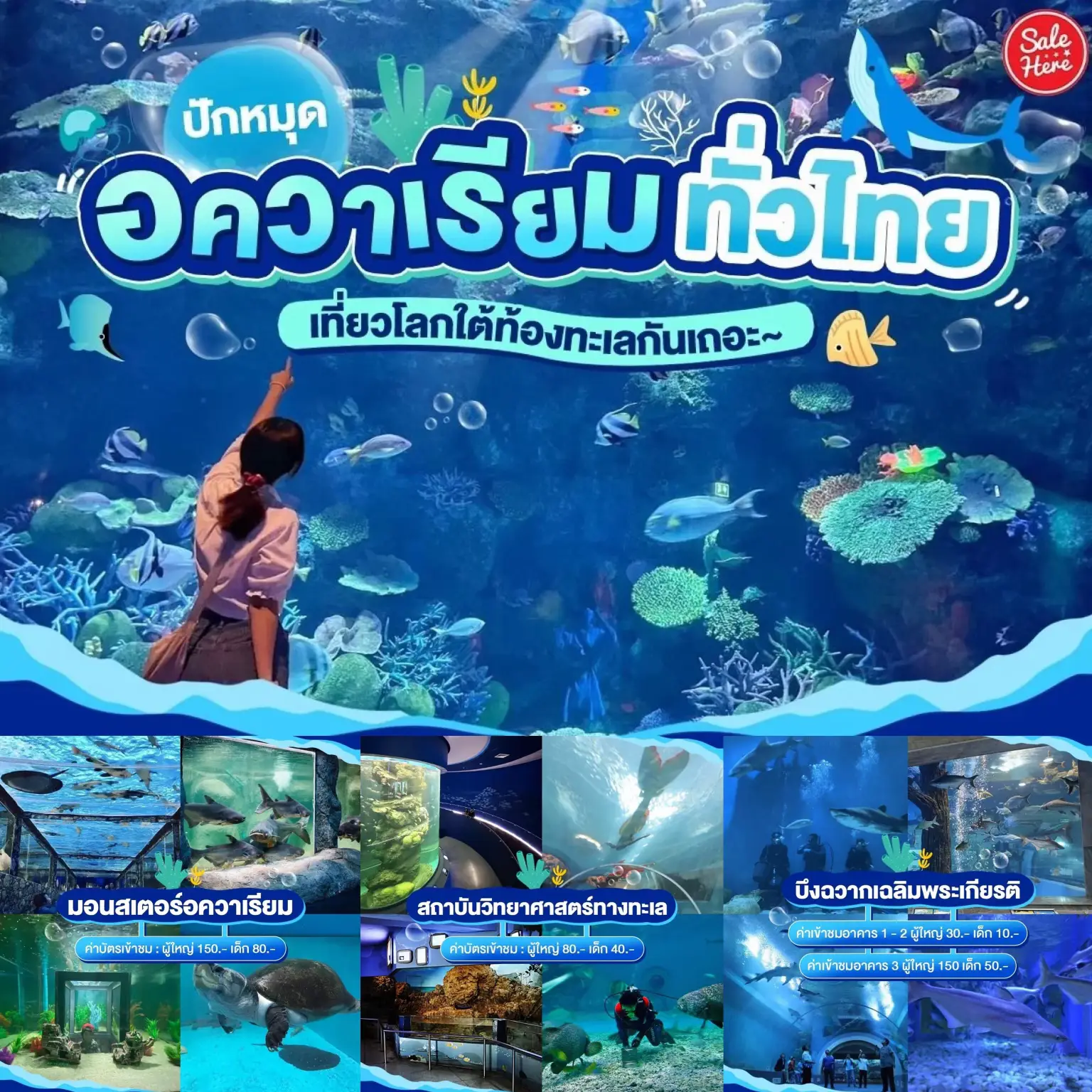 pin-up-aquarium-all-over-thailand-gallery-posted-by-sale-here