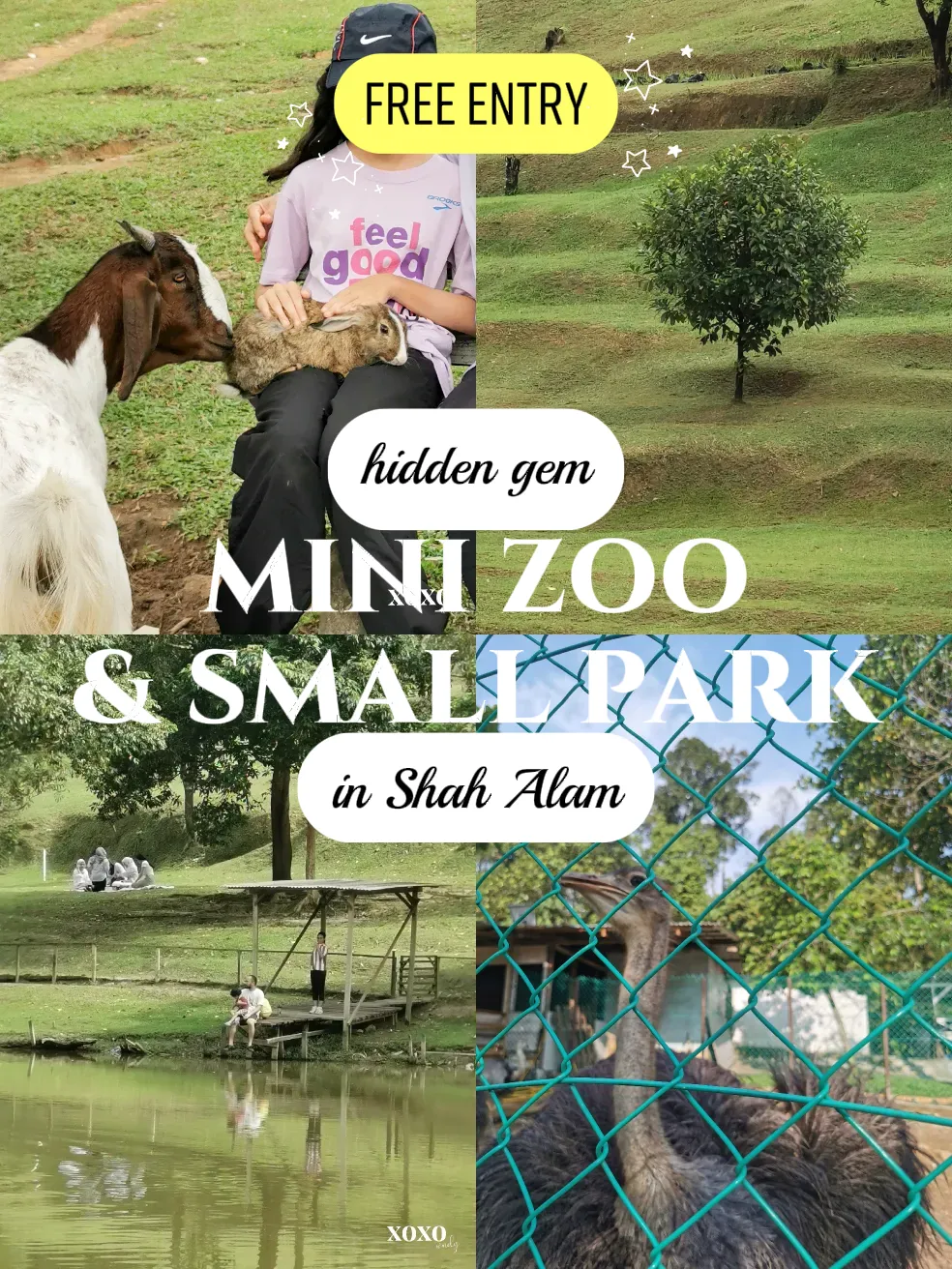 Boleh Masuk Mini Zoo Dekat Shah Alam For FREE?! | Galeri disiarkan oleh ...