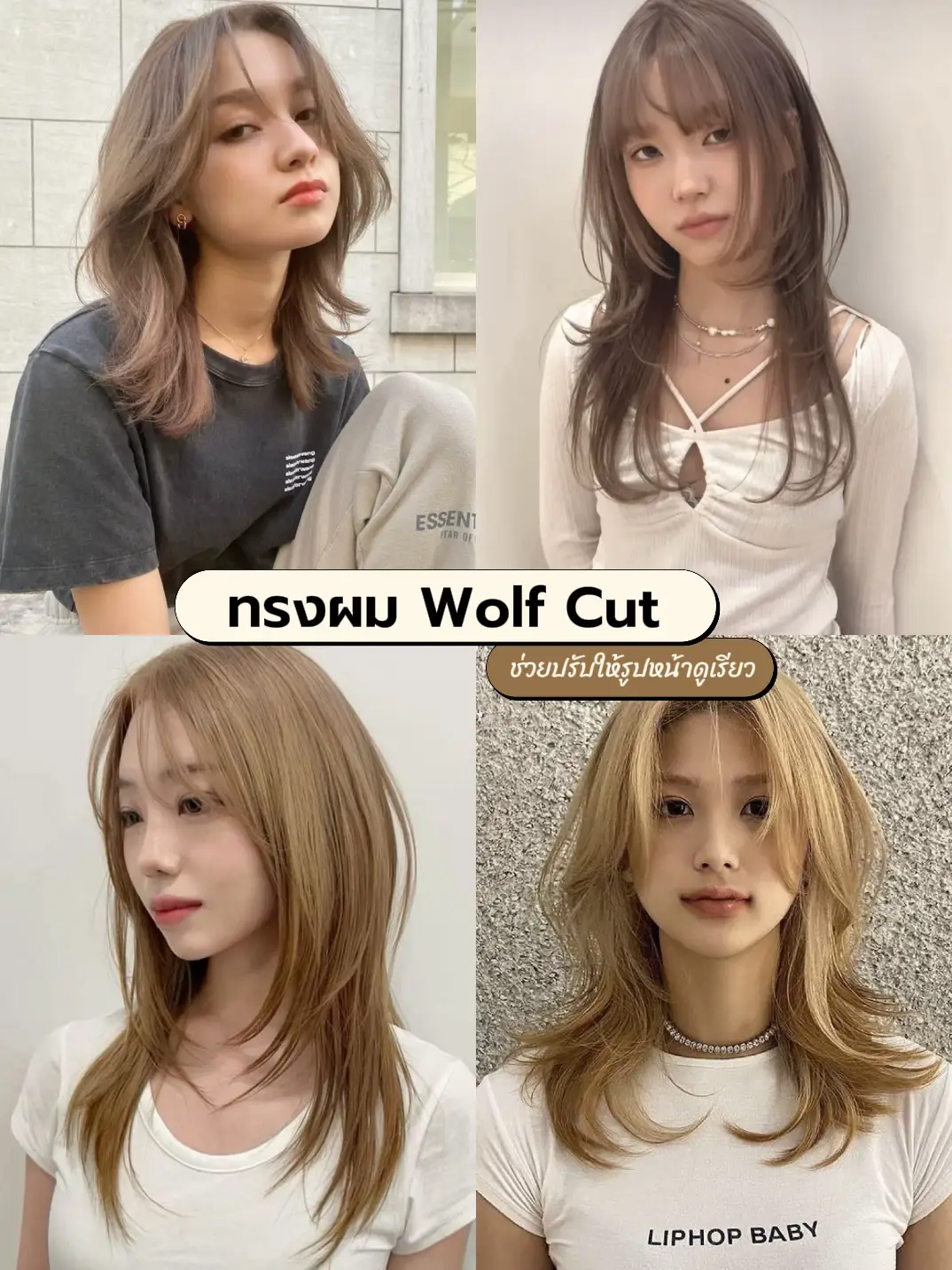 ไอเดียทรงผมผู้หญิงเกาหลี-สายฝอ ปี 2024 | แกลเลอรีที่โพสต์โดย 🍒Ajumbell🍒 ...
