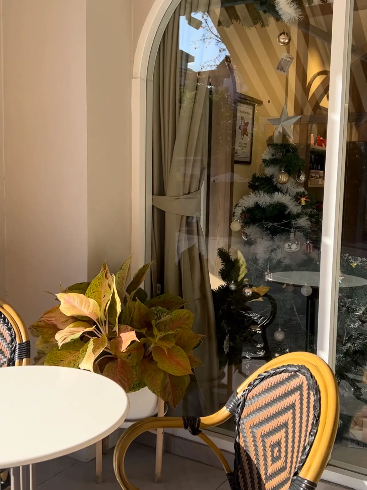คาเฟ่ที่ยังไม่แมทมาก แต่แสงสวยเกินเบอร์ Risa Cafe & Bistro | แกลเลอรี ...