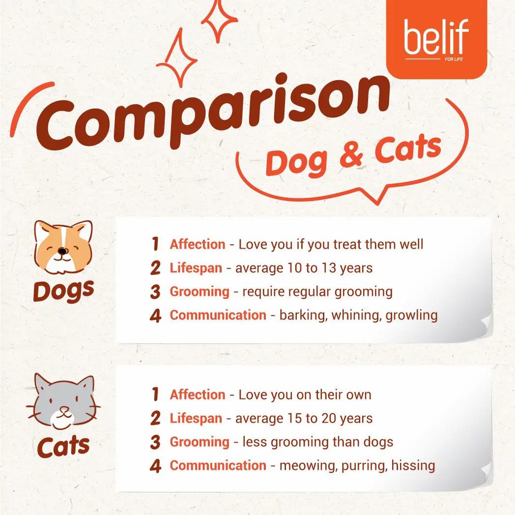 Differences between Dogs and Cats แกลเลอรีที่โพสต์โดย Belif Pet Food
