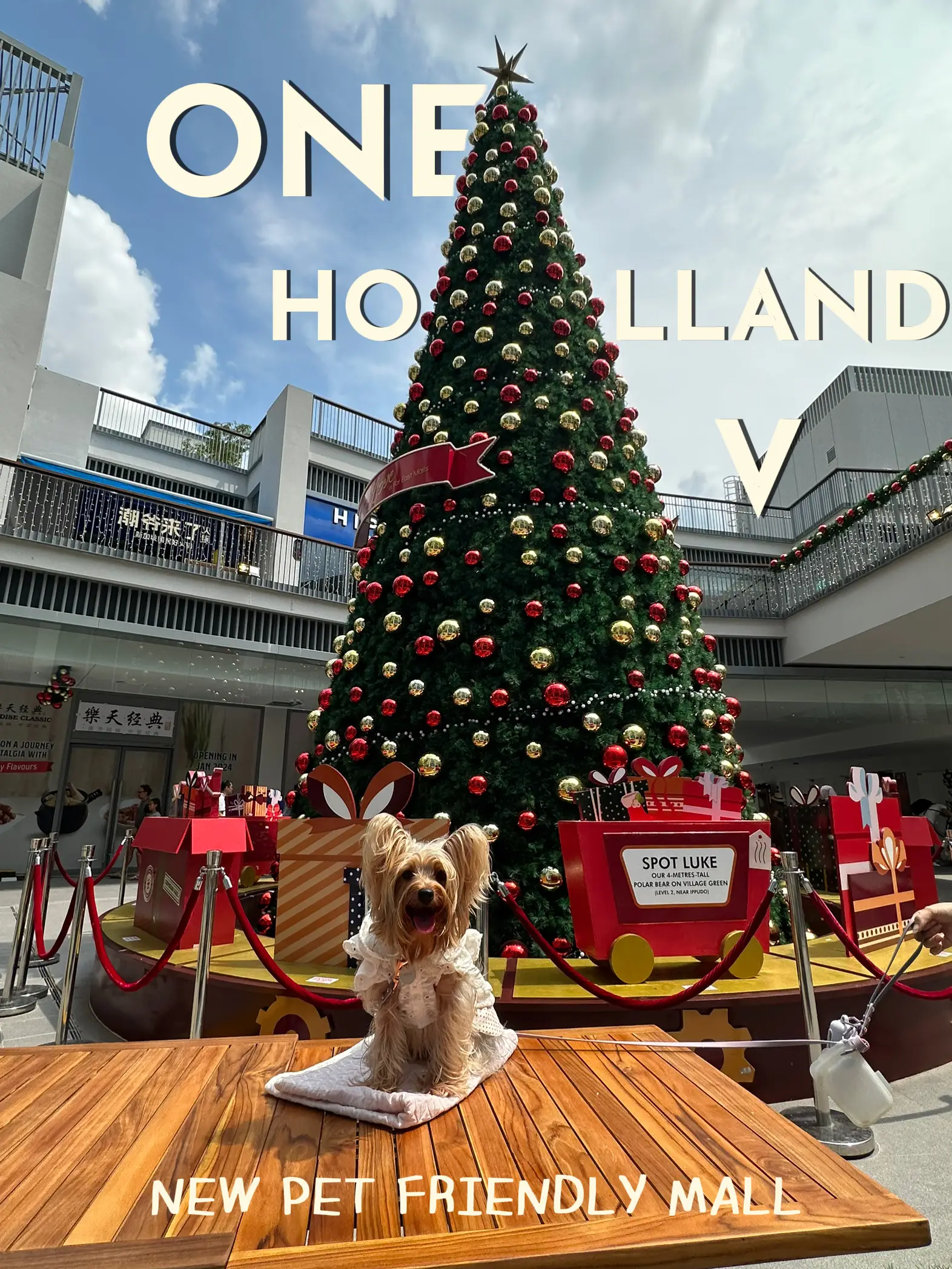 NEW pet friendly mall❣️🎄🌟  Gallery posted by sophie & human