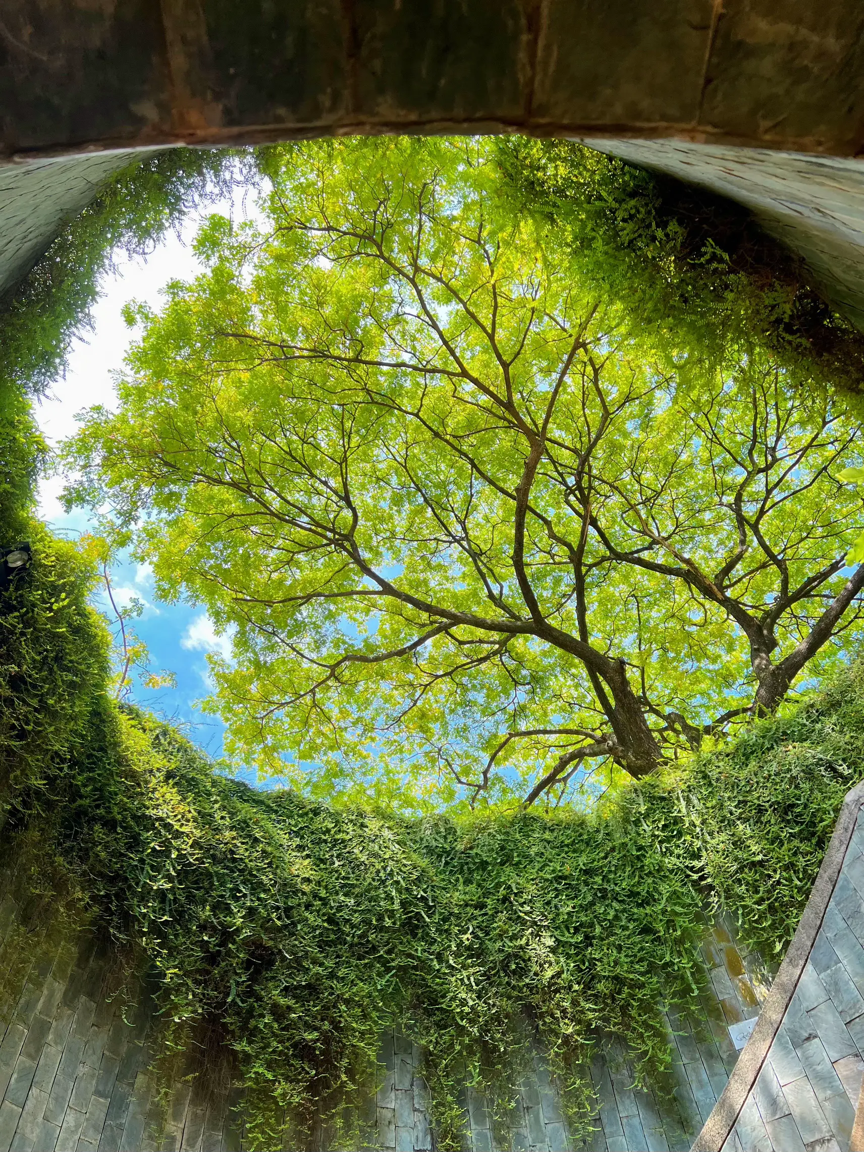 fort-canning-park-singapore