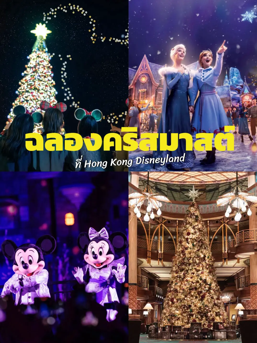 11月15日分】ディズニーランド♡ハッピーエントリー♡2枚♡クリスマス