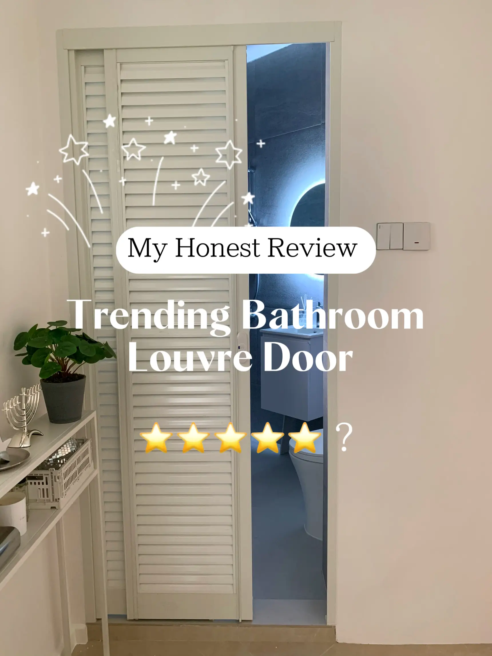 🤔Is the Trending Louvre Bathroom Door worth it ?