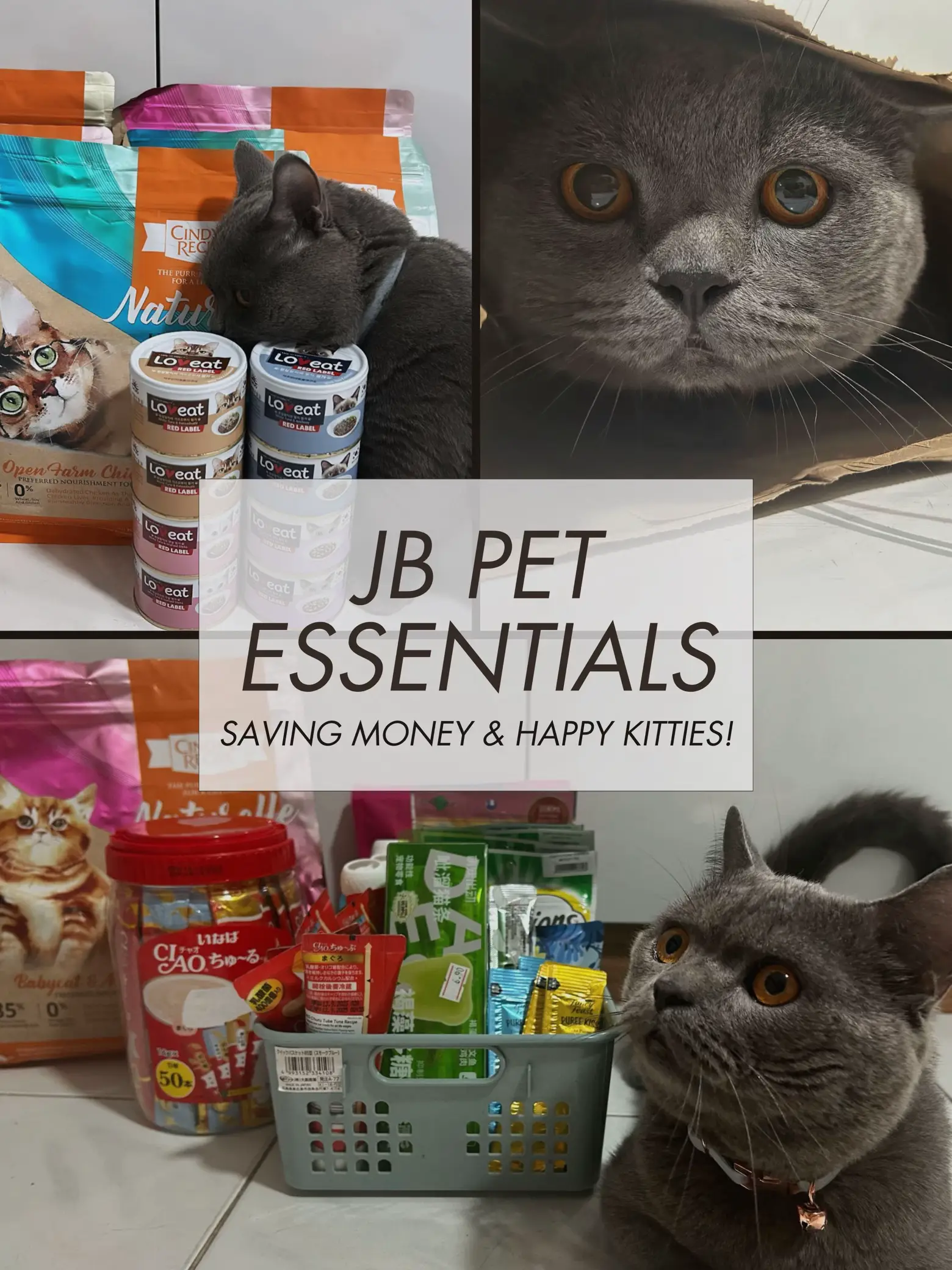 20 top Pet Supplies Store Jeju ideas in 2024