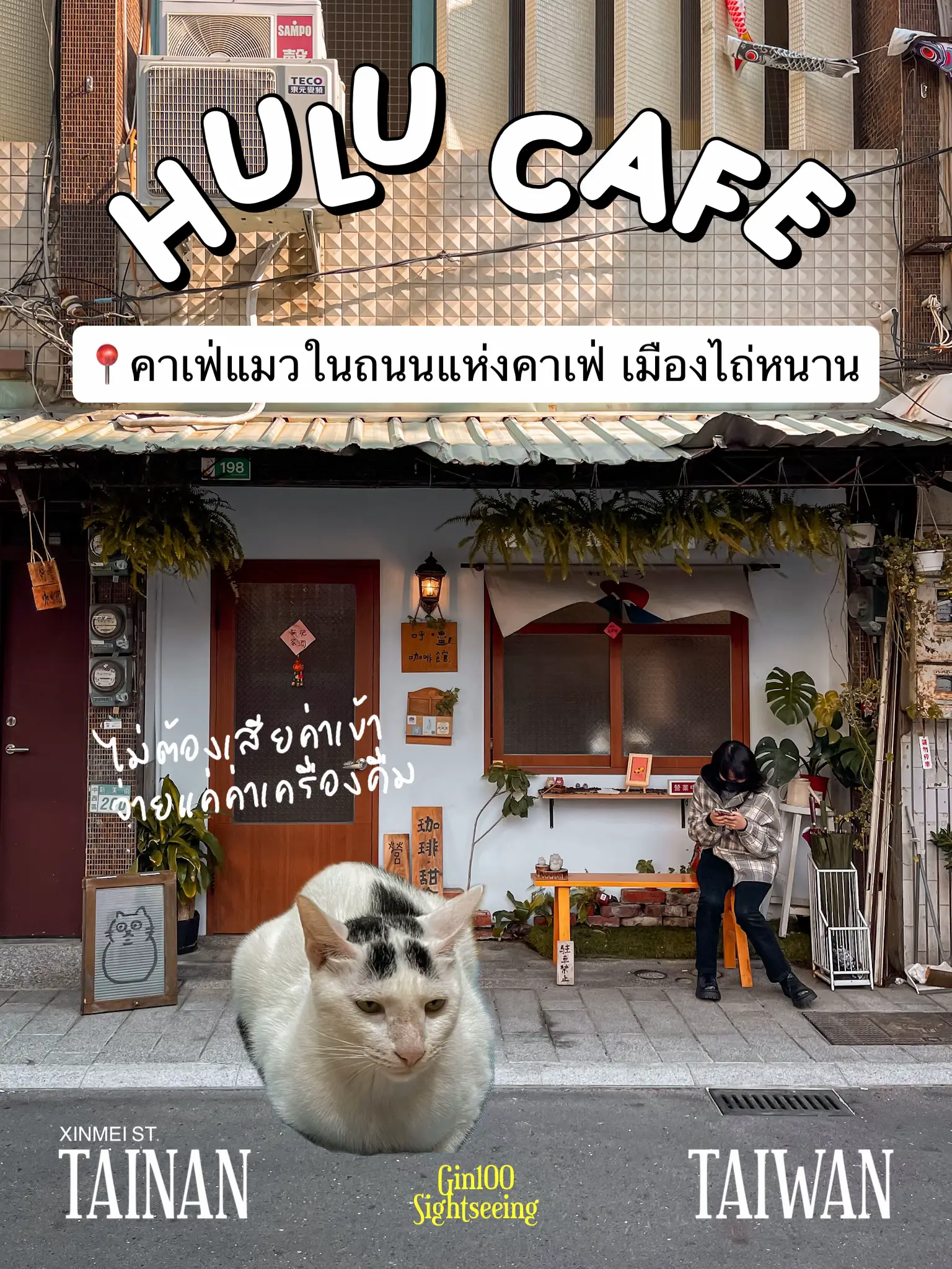 Hulu cafe 🐱 cat cafe in Nan Redemption City Cafe district Gallery