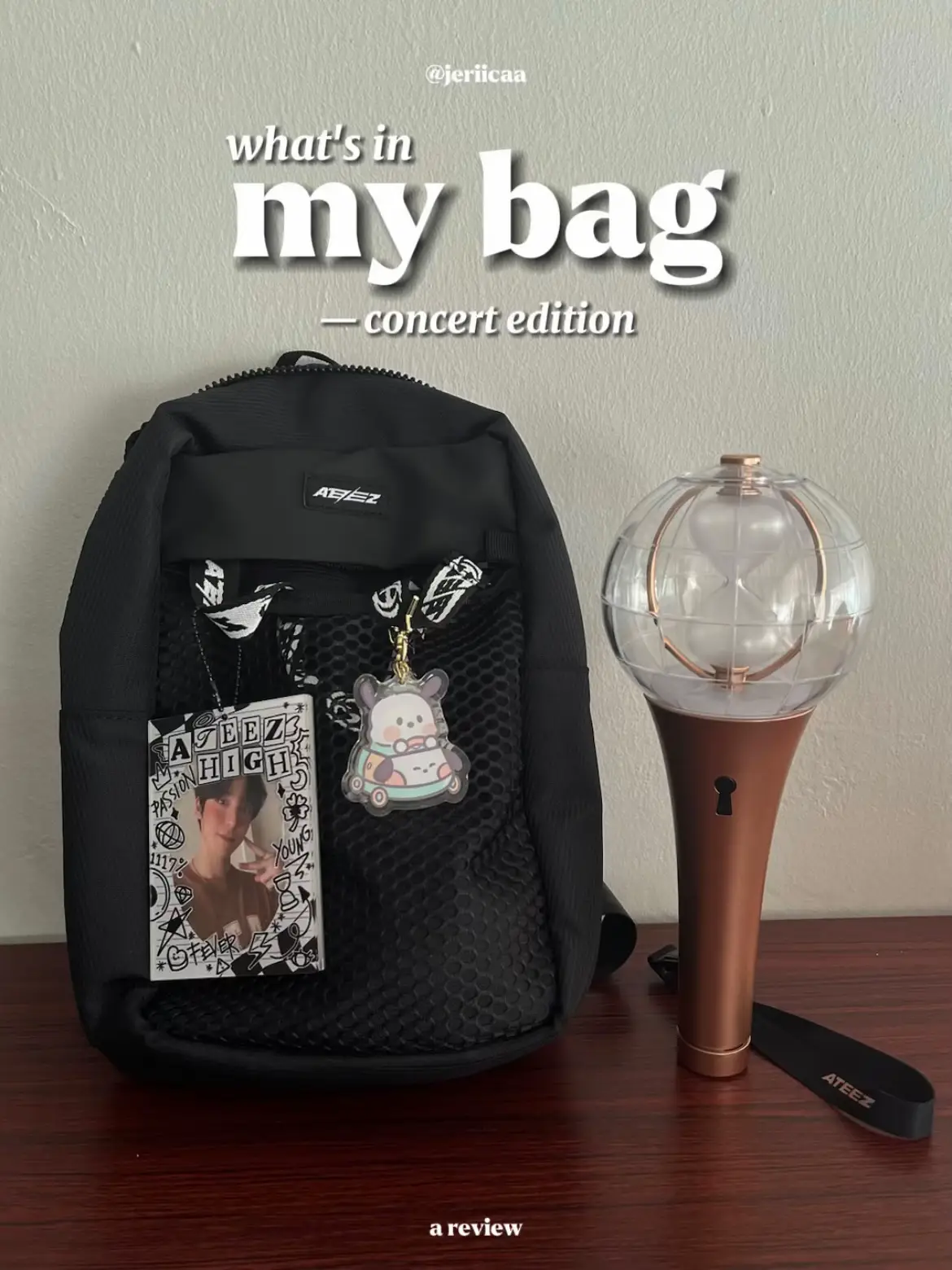 REVIEW MY LV CONCERT BAG !, Galeri disiarkan oleh Qirrana