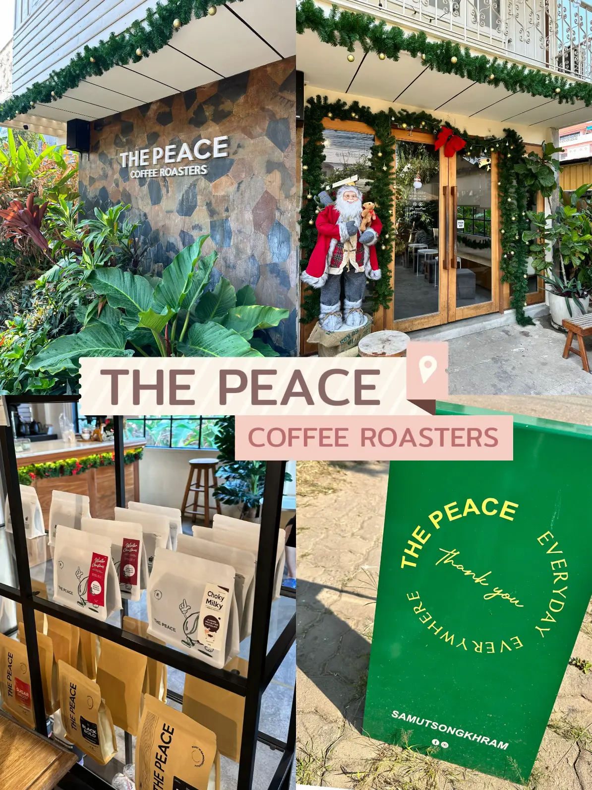 คาเฟ่กาแฟมะพร้าว the peace coffee roasters แกลเลอรีที่โพสต์โดย polar