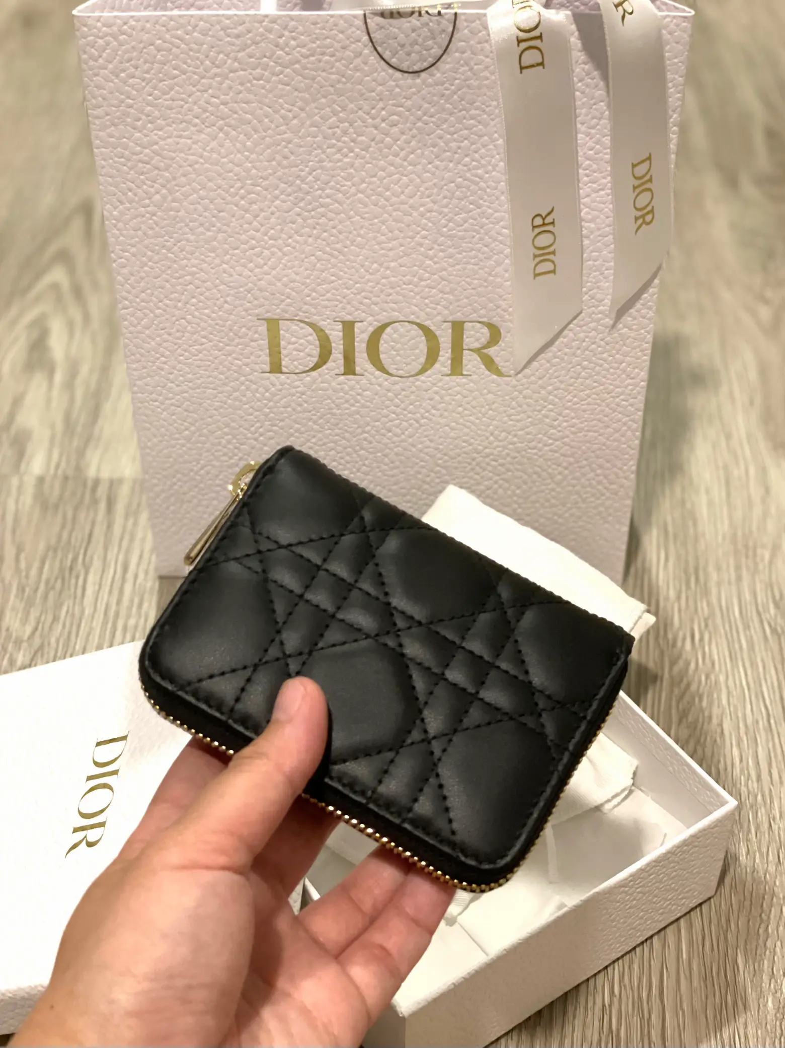 Small lady dior zip card online holder