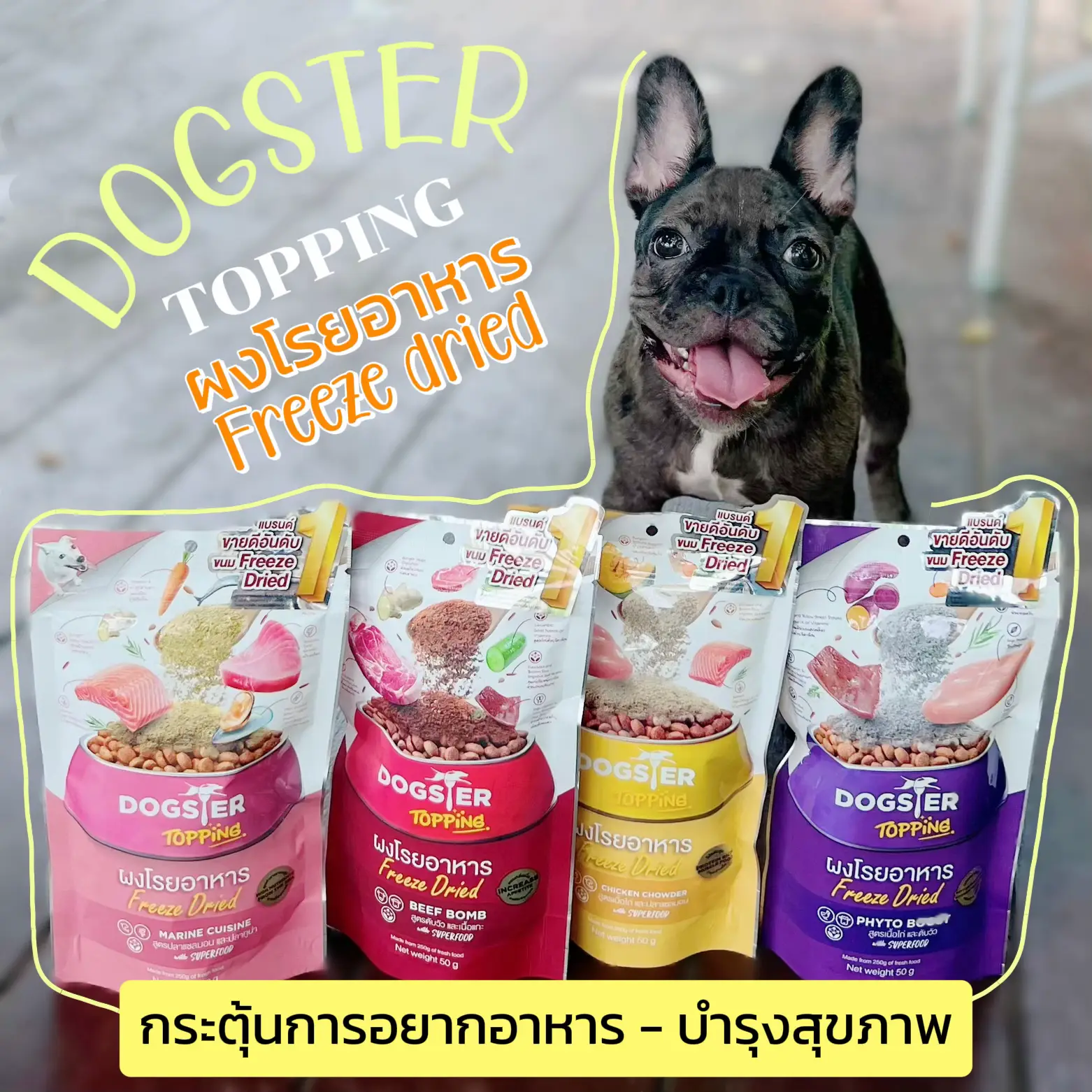 DOGSTER topping 🐶🐾ผงโรยอาหาร เหมาะกับน้องหมากินยาก!! | แกลเลอรีที่โพสต์ ...