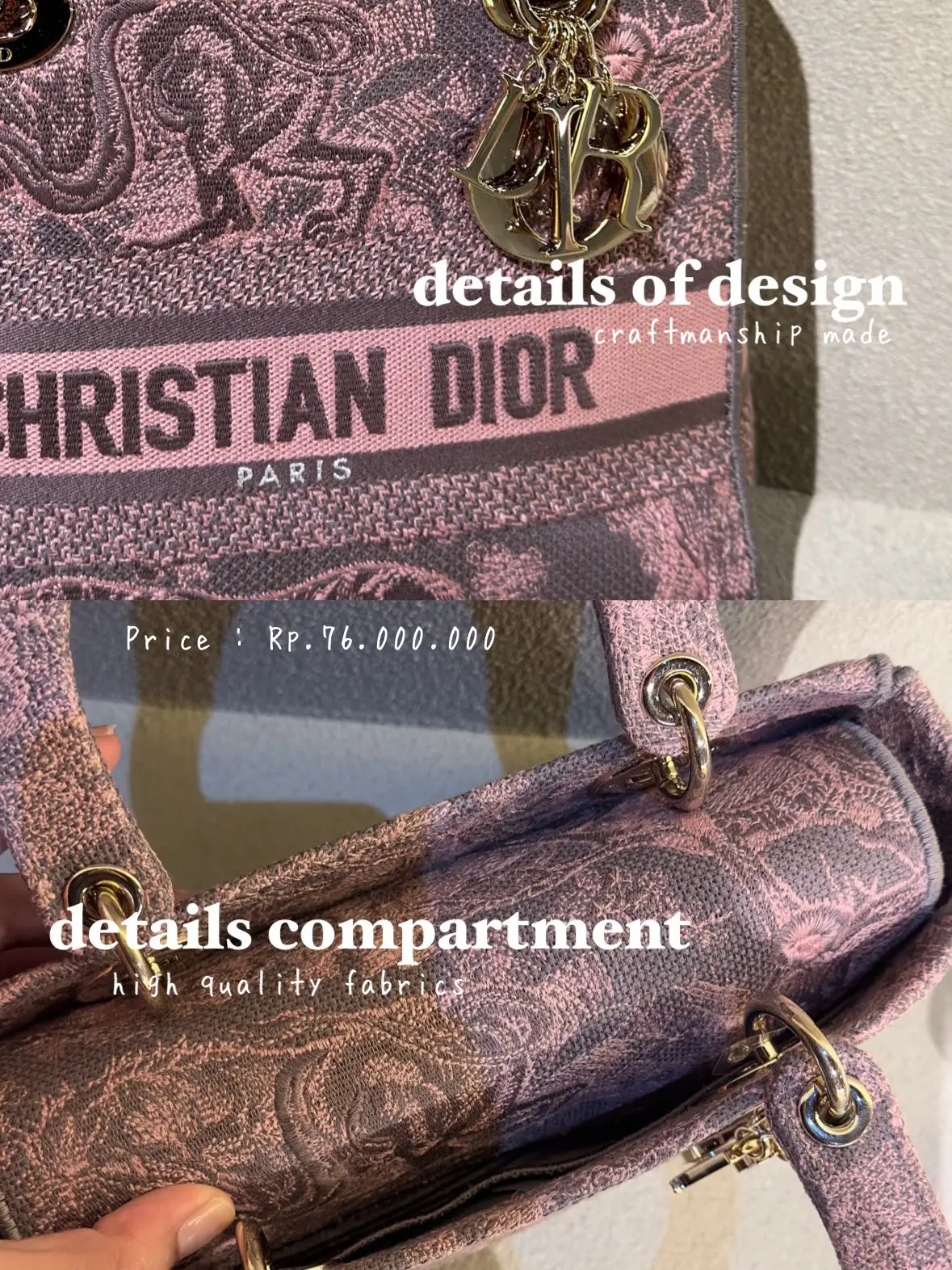 Dior Unboxing  Book Tote Pink Toile de Jouy 