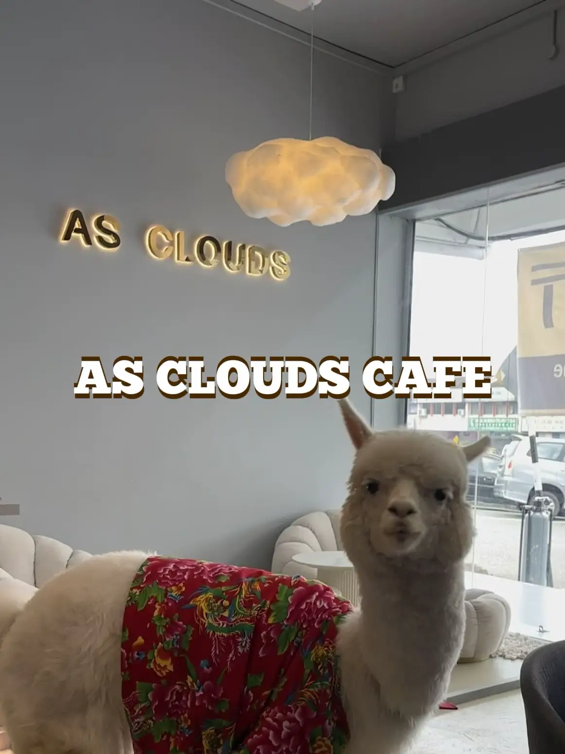 As Clouds Cafe (1st Alpaca Cafe in JB)🦙's images