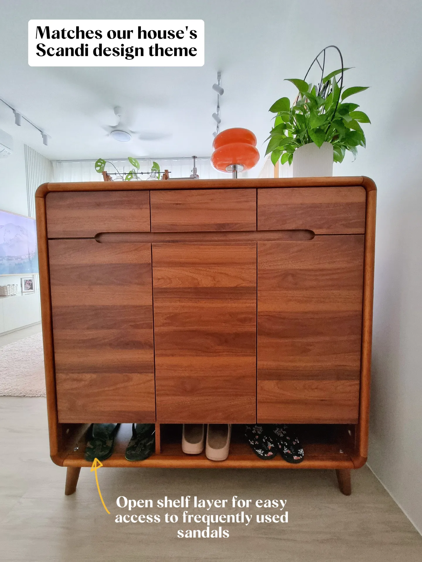 Taobao shoe 2024 cabinet