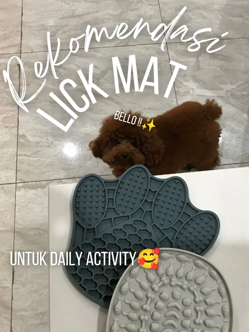 Your Guide to Everything Lick Mat: Lick Mat Recipes for Dogs, Lick Mat  Ideas, DIY Lick Mats, and More!