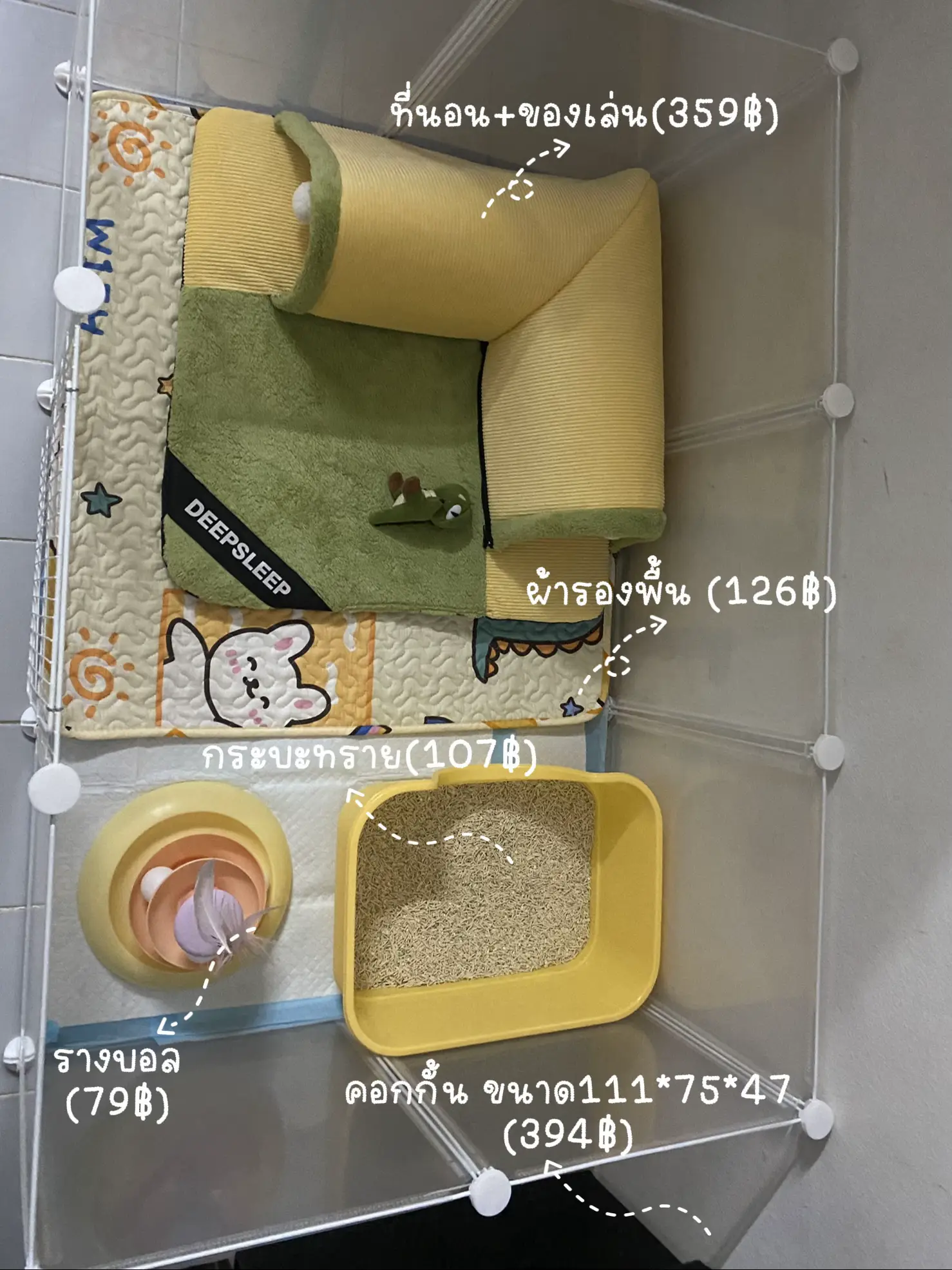 ไอเดียจัดที่นอนแมวเด็ก อายุ1เดือน😻 แกลเลอรีที่โพสต์โดย Devil ψ(`∇´)ψ