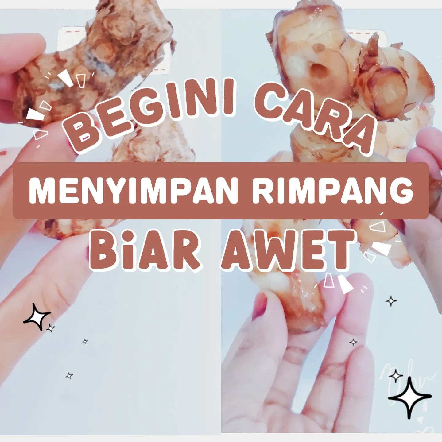 Begini Cara Menyimpan Rimpang Biar Awet Galeri Diposting Oleh Dhiᡣ𐭩