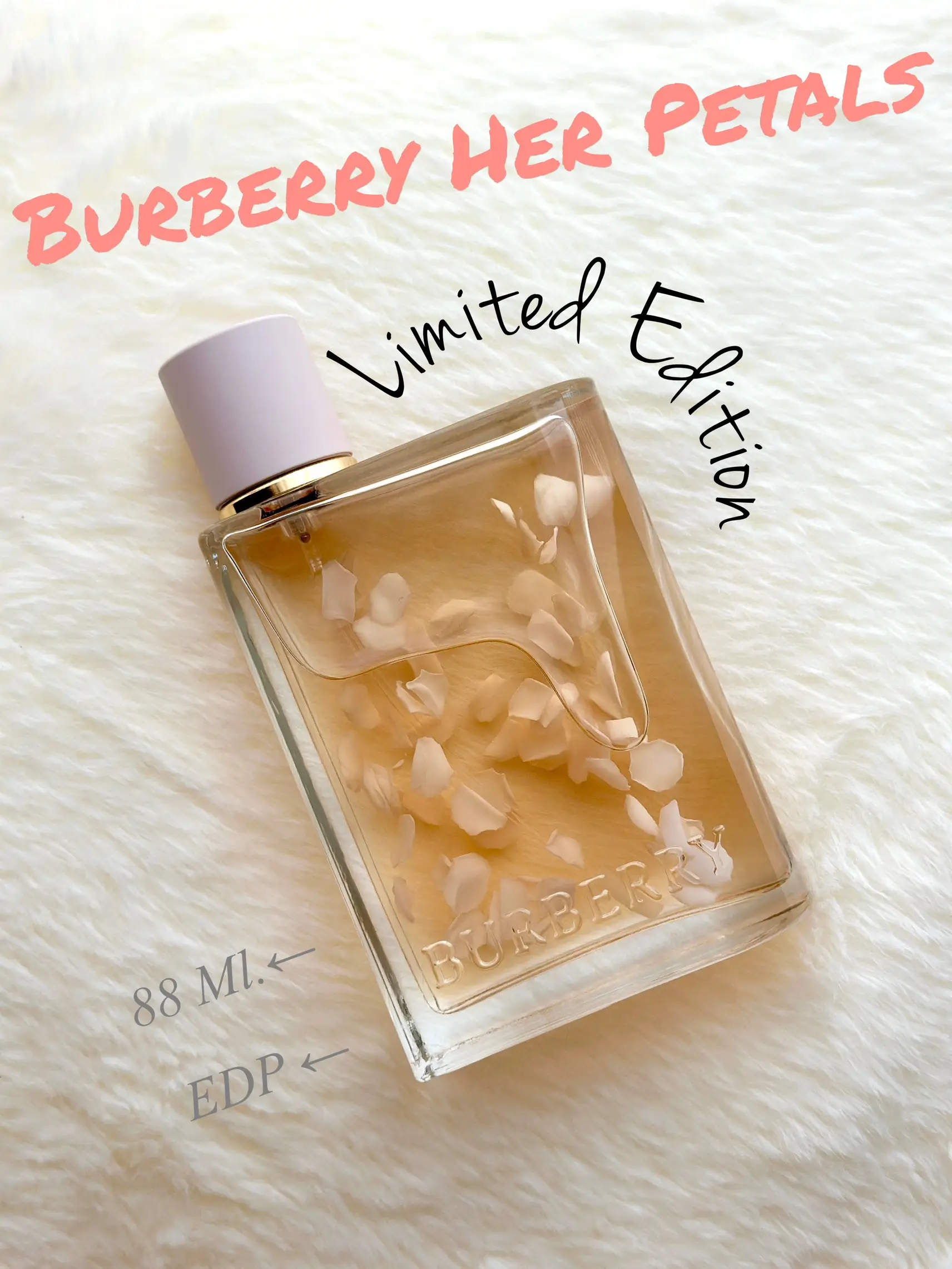 Burberry her london dream pantip hot sale