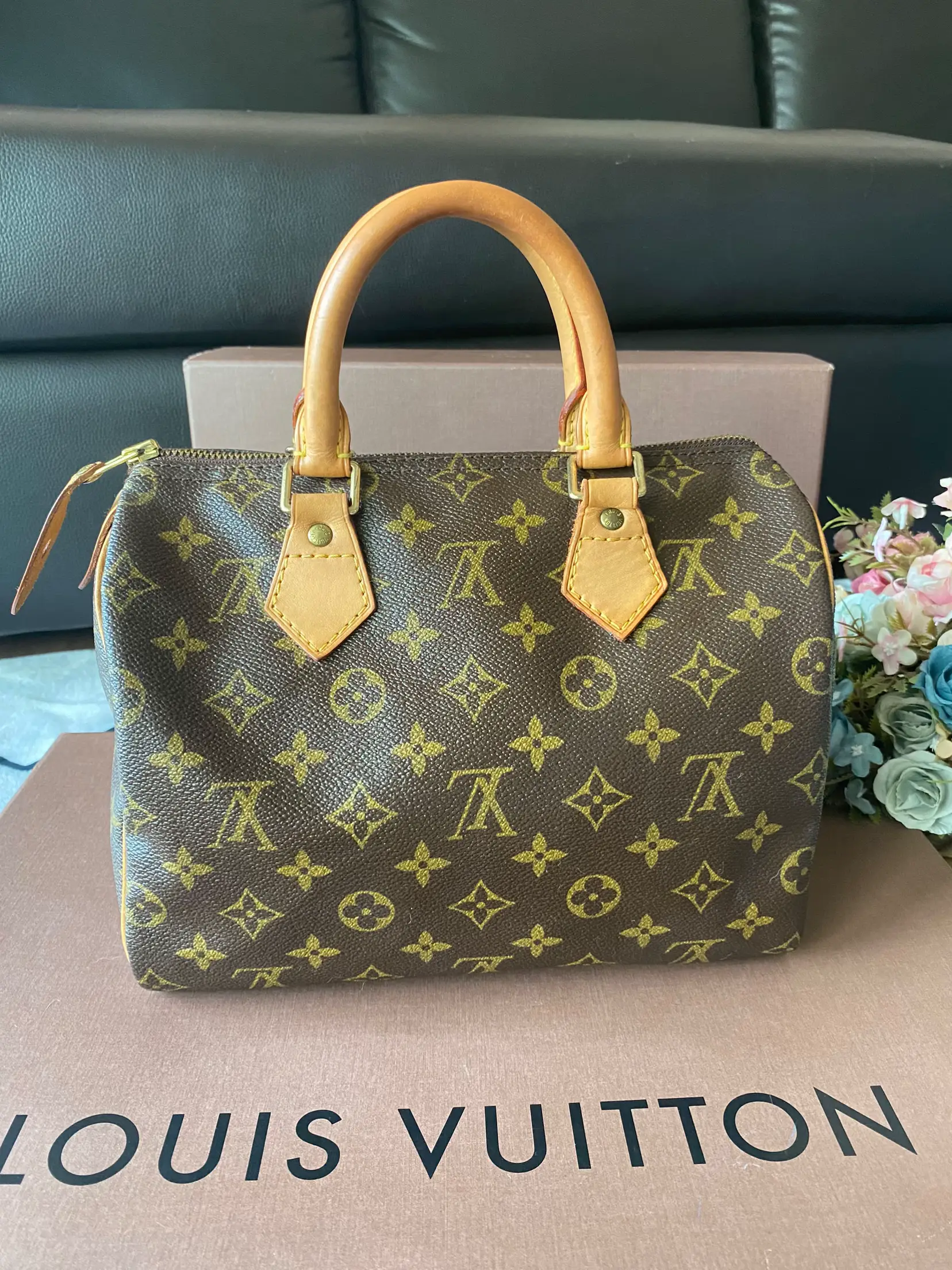 Louis Vuitton Speedy Nano, Gallery posted by gladyschristine