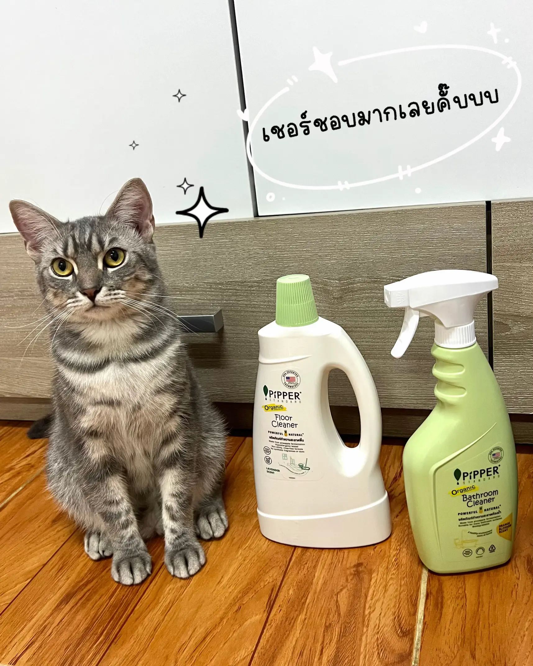 Toxic Cleaning Products For Pets - Mingala-Bark