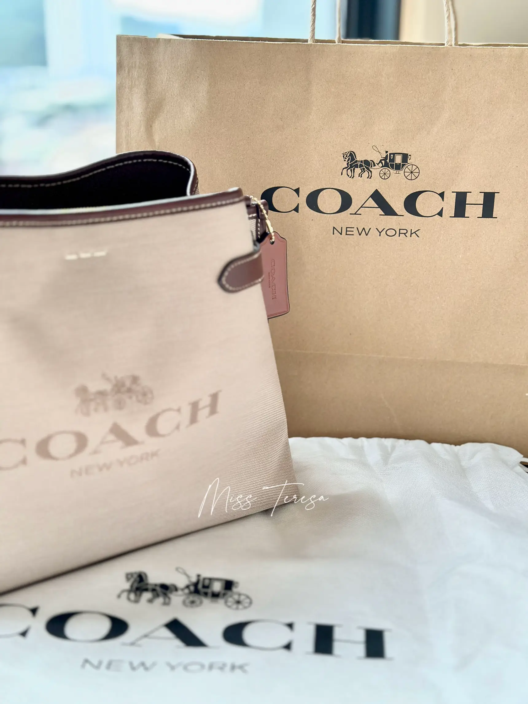 Coach paper clearance bag 2019