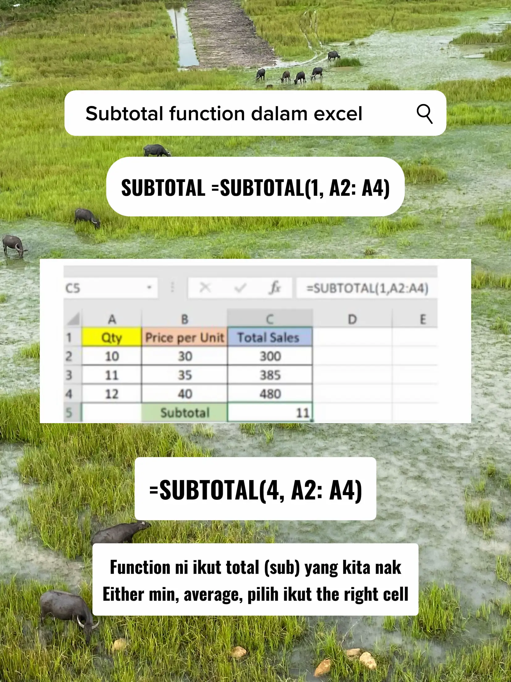 FORMULA EXCEL + CONTOH || Excel For Beginners 🫢 | Galeri disiarkan oleh ...
