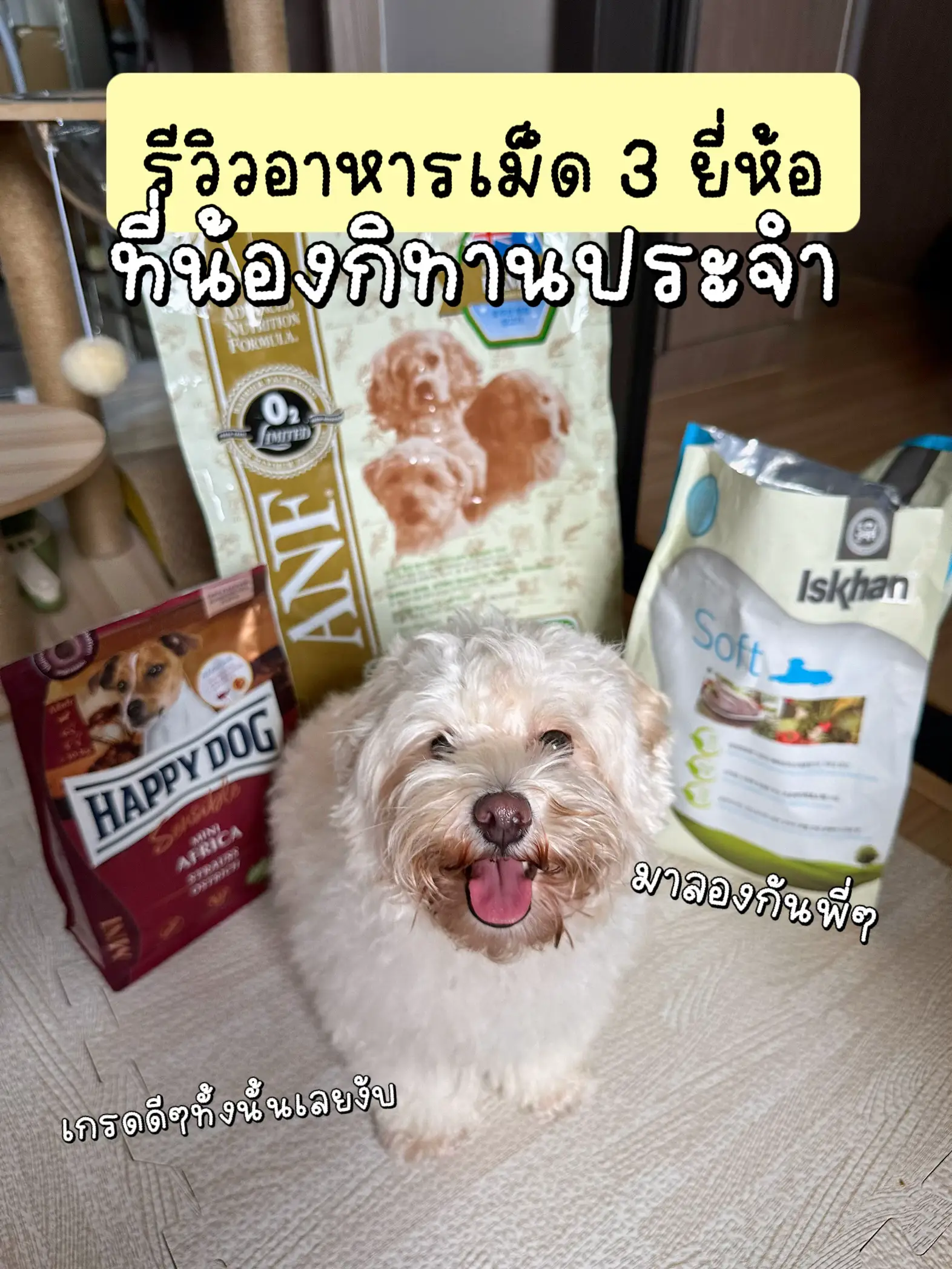 Review of 3 brands of good grade dog pellet food that you eat