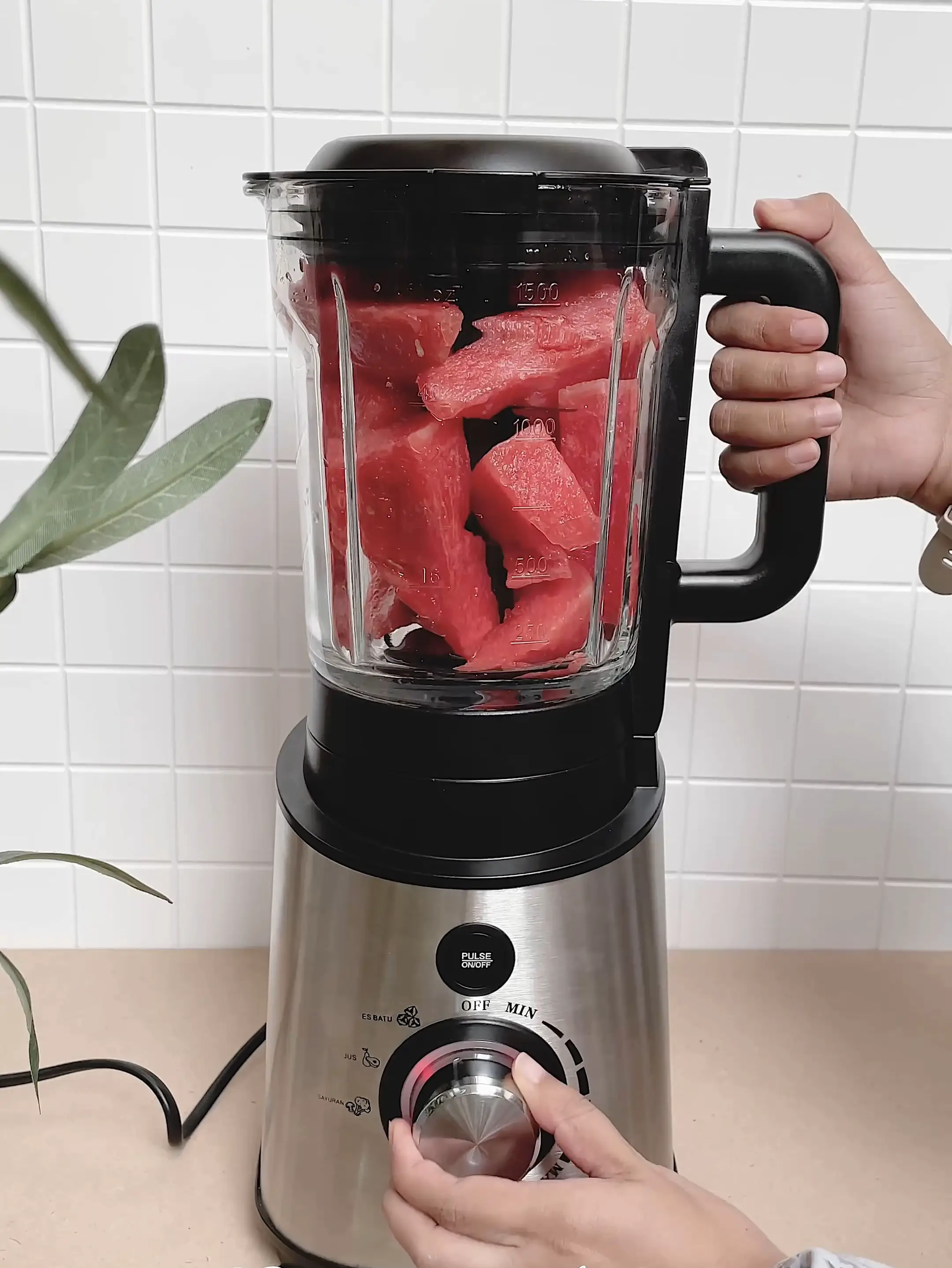 Morning Shake Recipe, Beast Blender, Video published by JMarieLifestyle