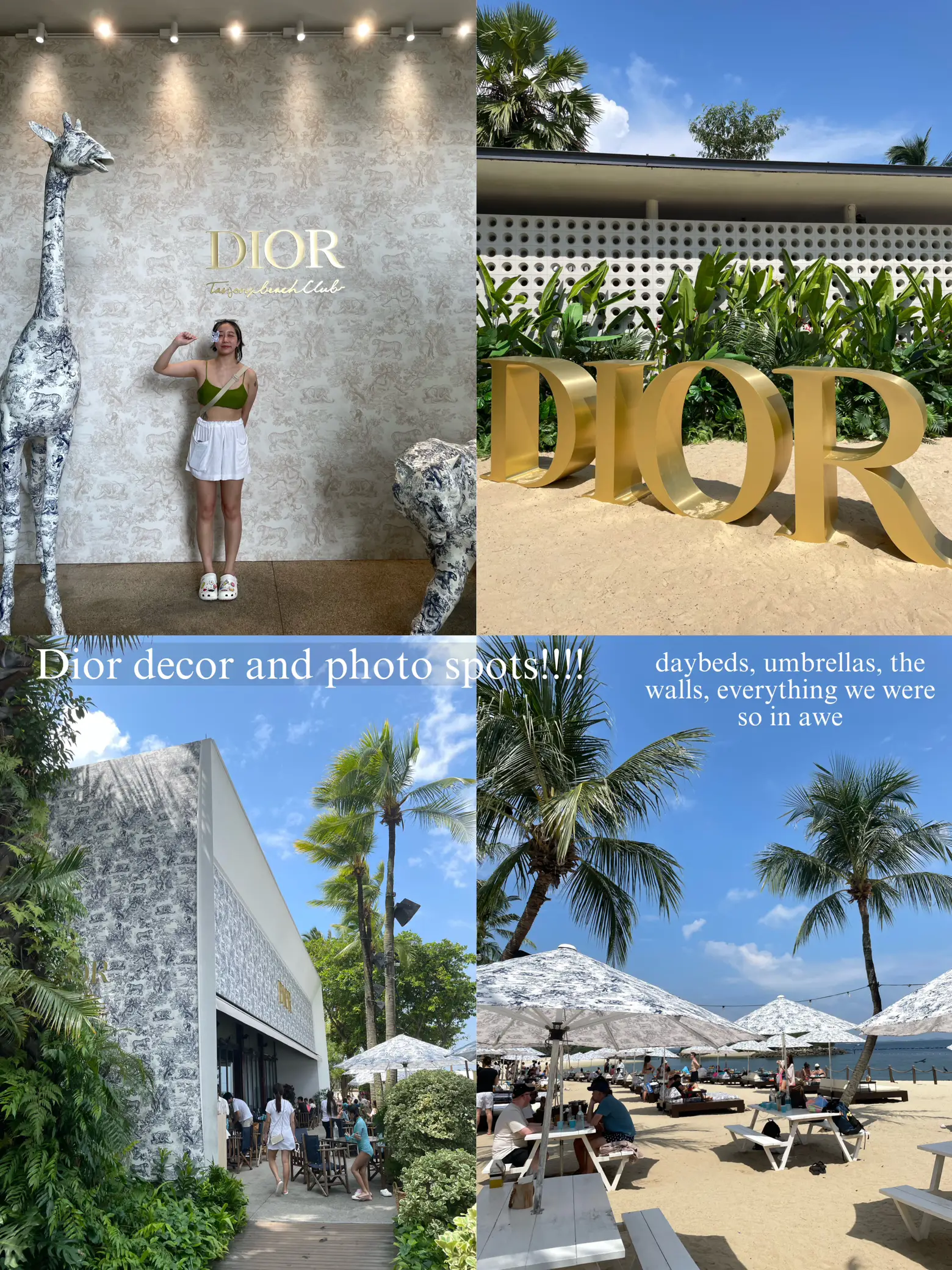 Here's What Went Down When Cha Eun Woo Visited Sentosa's Tanjong Beach Club  For A Dior Event - 8days