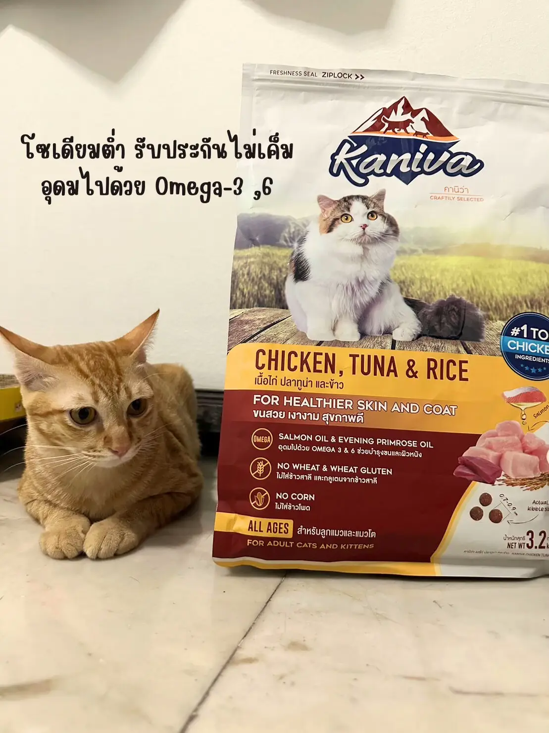 KANIVA สูตร Chicken Tuna & Rice 🐈 | แกลเลอรีที่โพสต์โดย Bendita_Jane ...