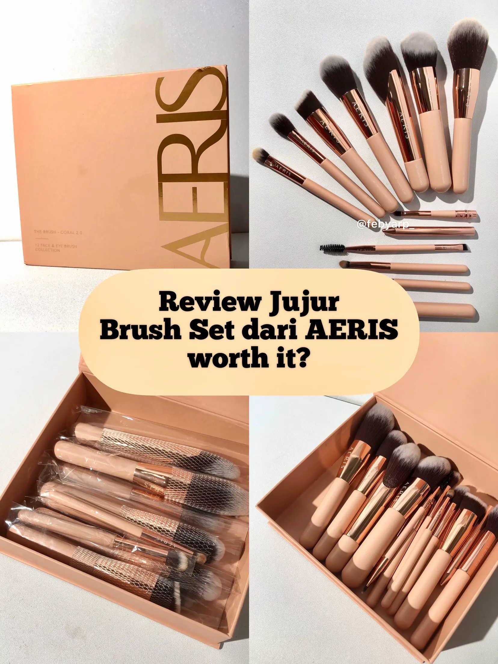 Review Jujur Brush Aeris One Set