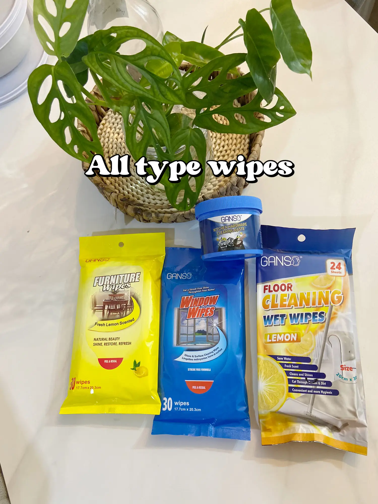 Must have cleaning tools for new House, Gallery posted by Lina_B.home