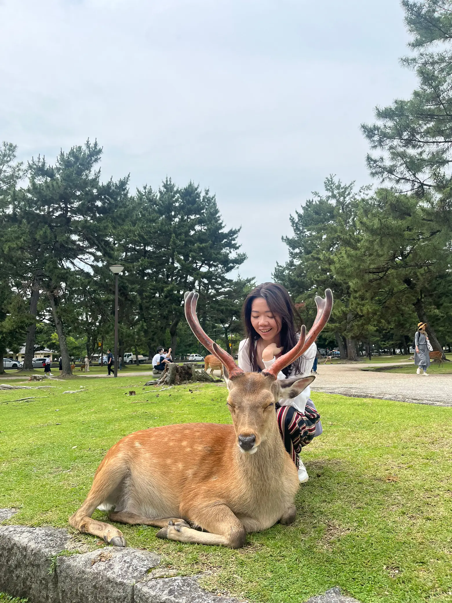 Travel Tips for NARA PARK Getting the best exp Gallery