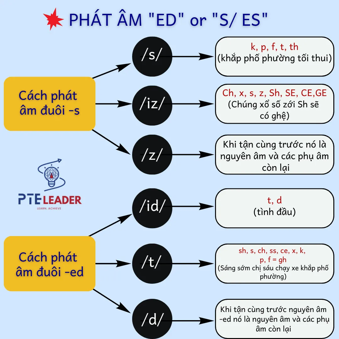 Cách Phát Âm S và X: Hướng Dẫn Chi Tiết Để Phát Âm Chuẩn Xác