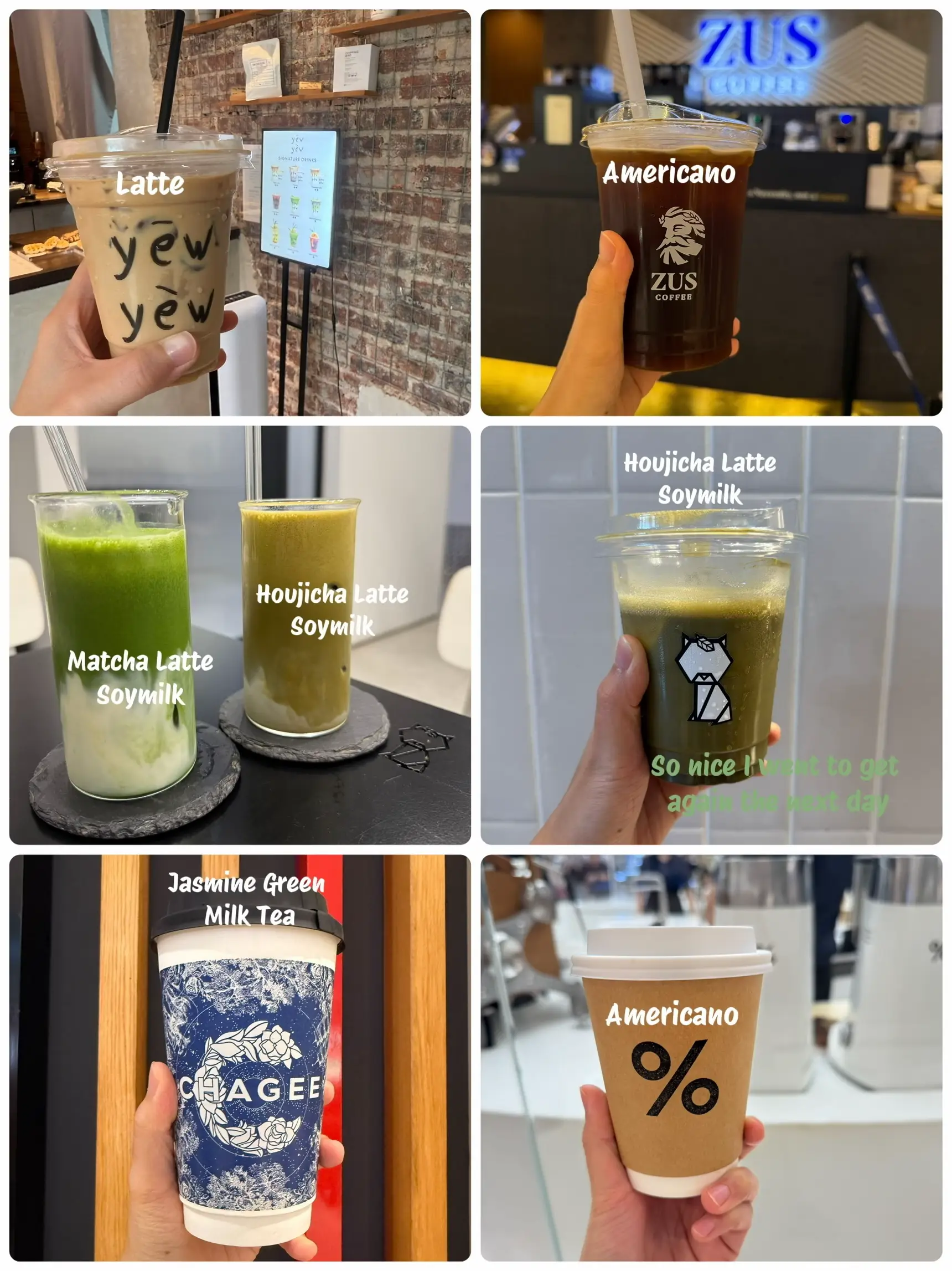 Coffee or tea, which to choose? | 2025 real user experience on Lemon8