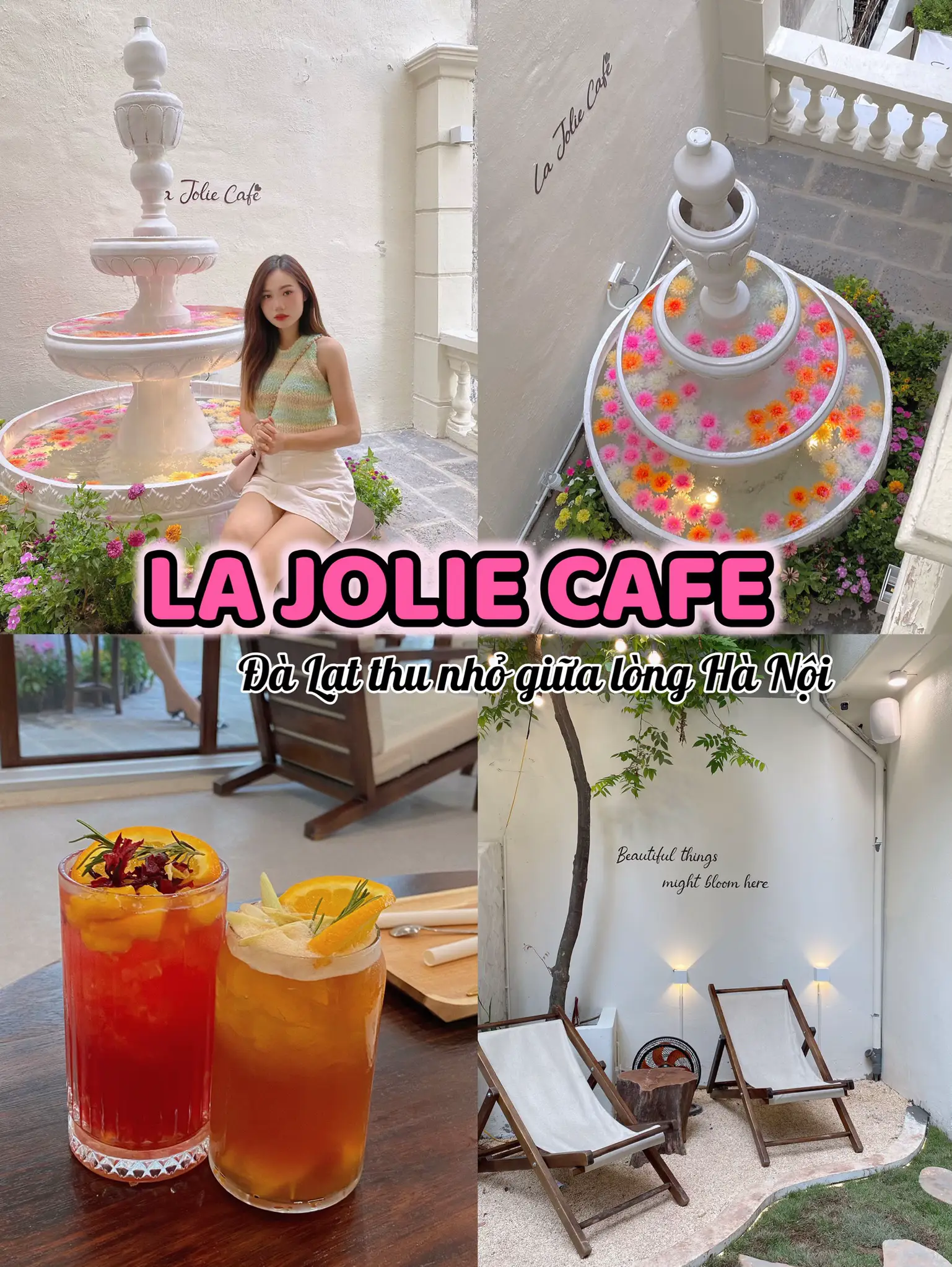 Cafe Jolie In Alameda - h8lav31