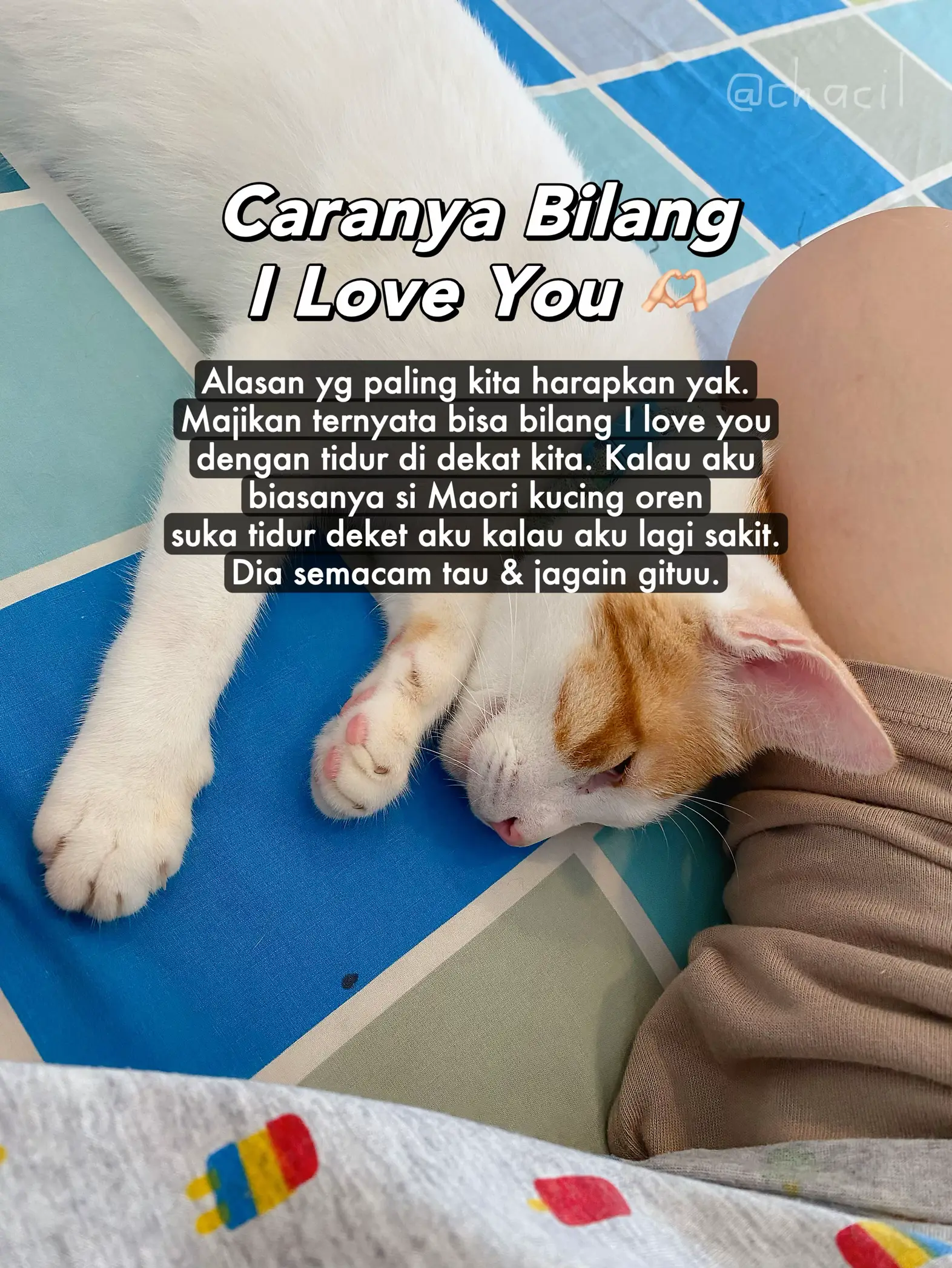 Majikan Maunya Tidur Sama Babunya, Tanda Sayang?? | Gallery posted by  chacil | Lemon8