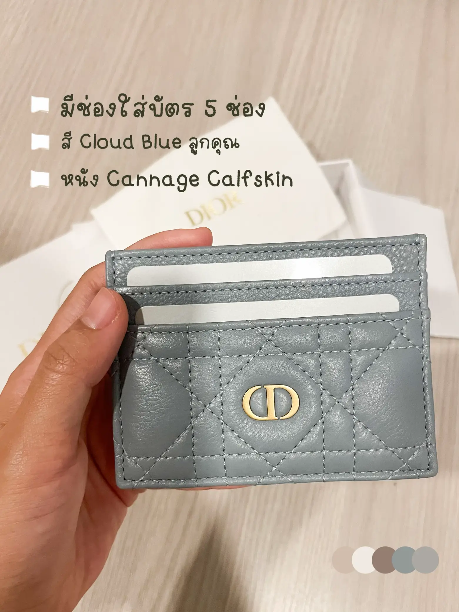 Dior diorama card clearance holder