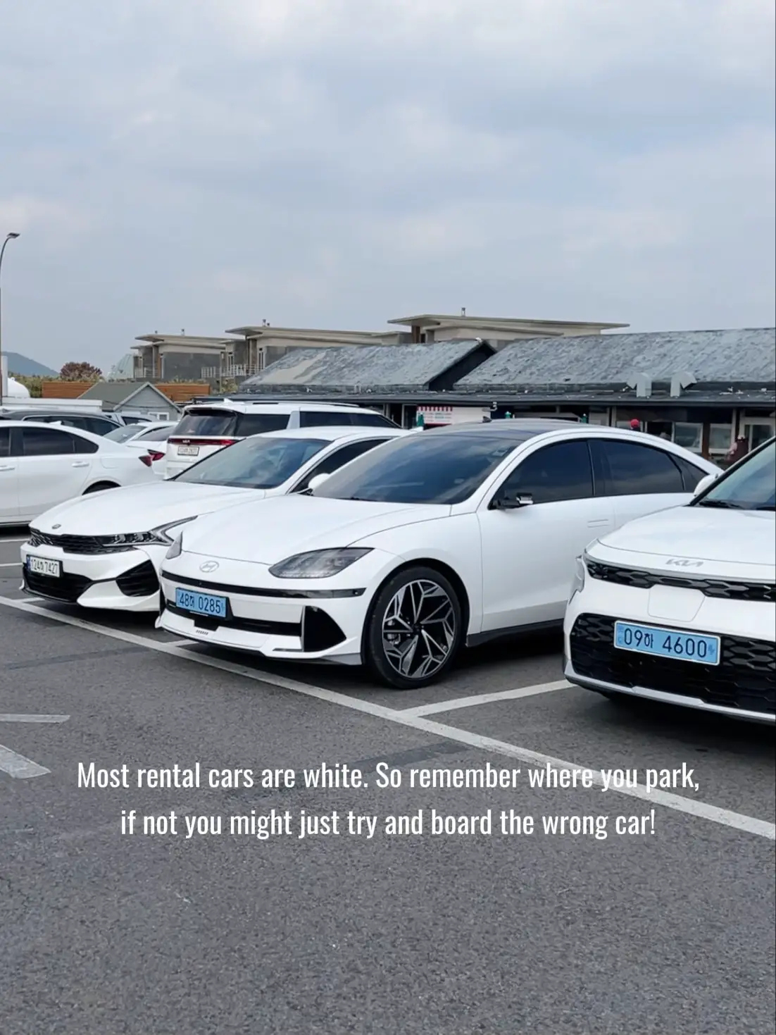 🇰🇷 Jeju Driving & Car Rental MustKnow Tips! 🚗💨 Gallery posted by Dodo Angel Lemon8