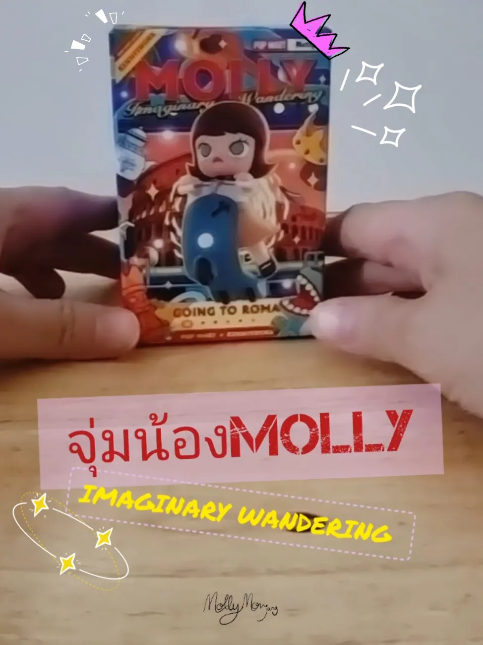 オープンボックス・ディップ・モリー（非ランダム）・アンルミ