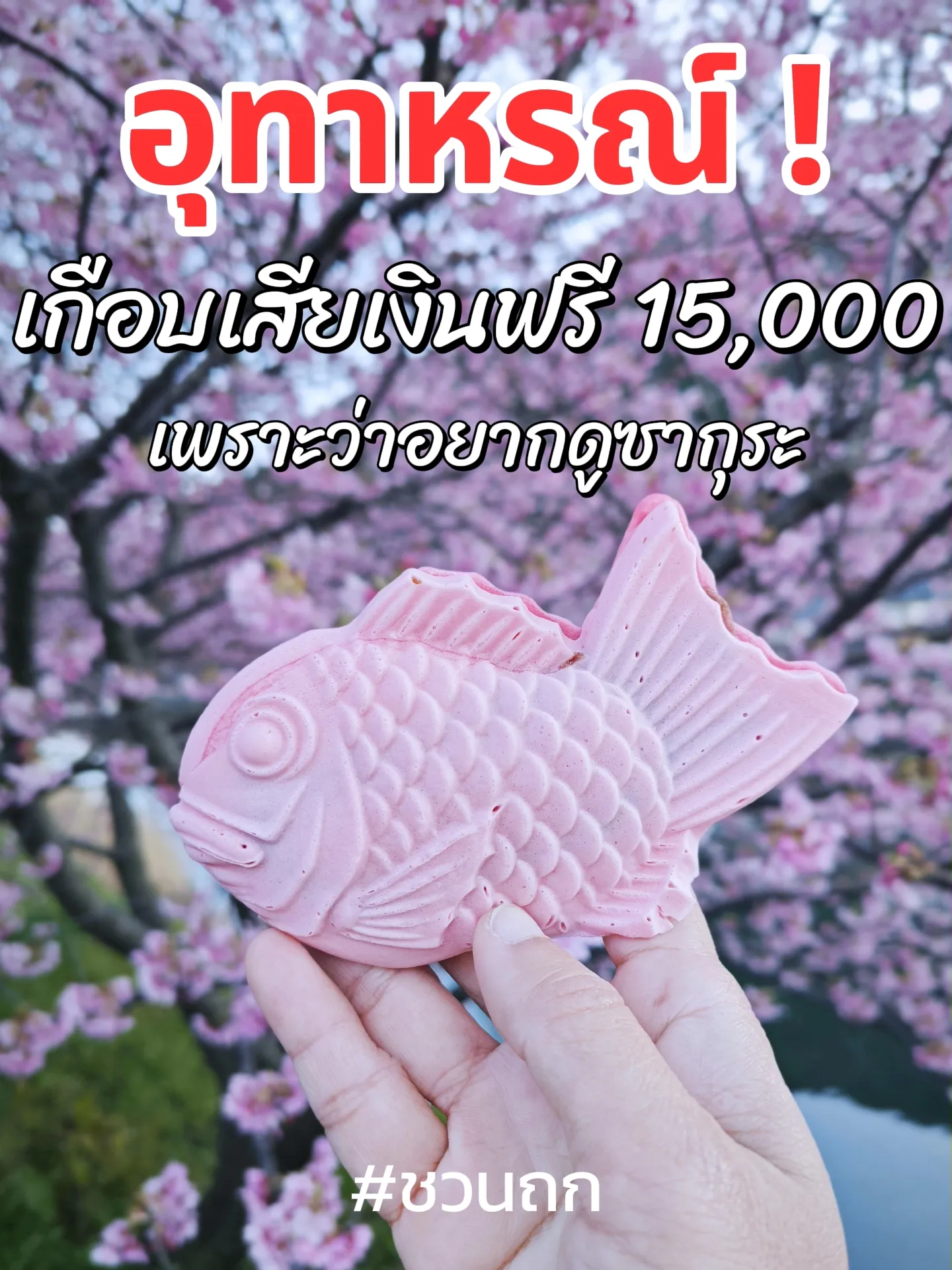 ระวัง‼️เสียเงินฟรีถ้าเที่ยวช่วงหยุดยาว 🌸 | แกลเลอรีที่โพสต์โดย Factory