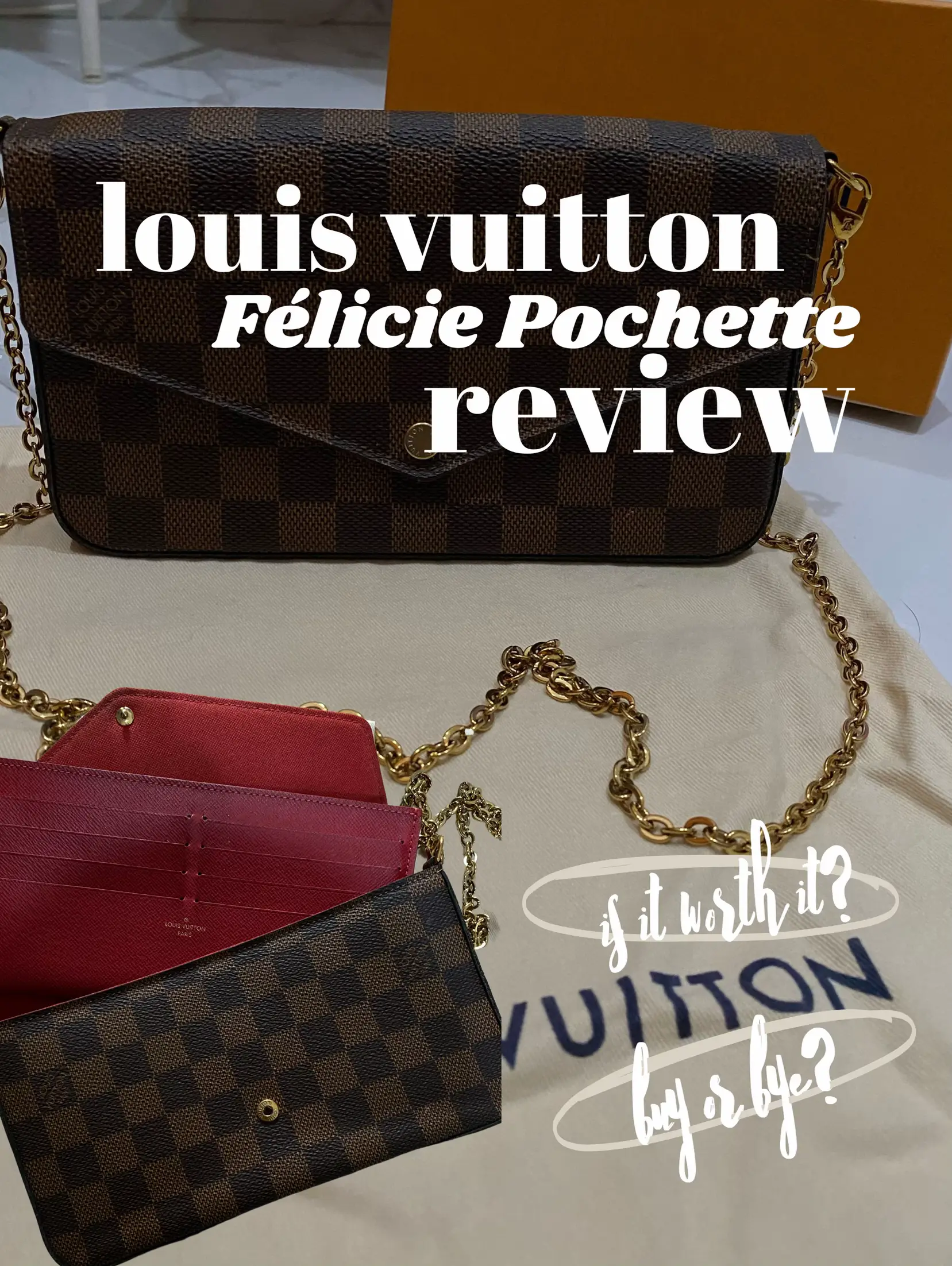 Louis Vuitton Felicie Pochette Damier Ebene Review