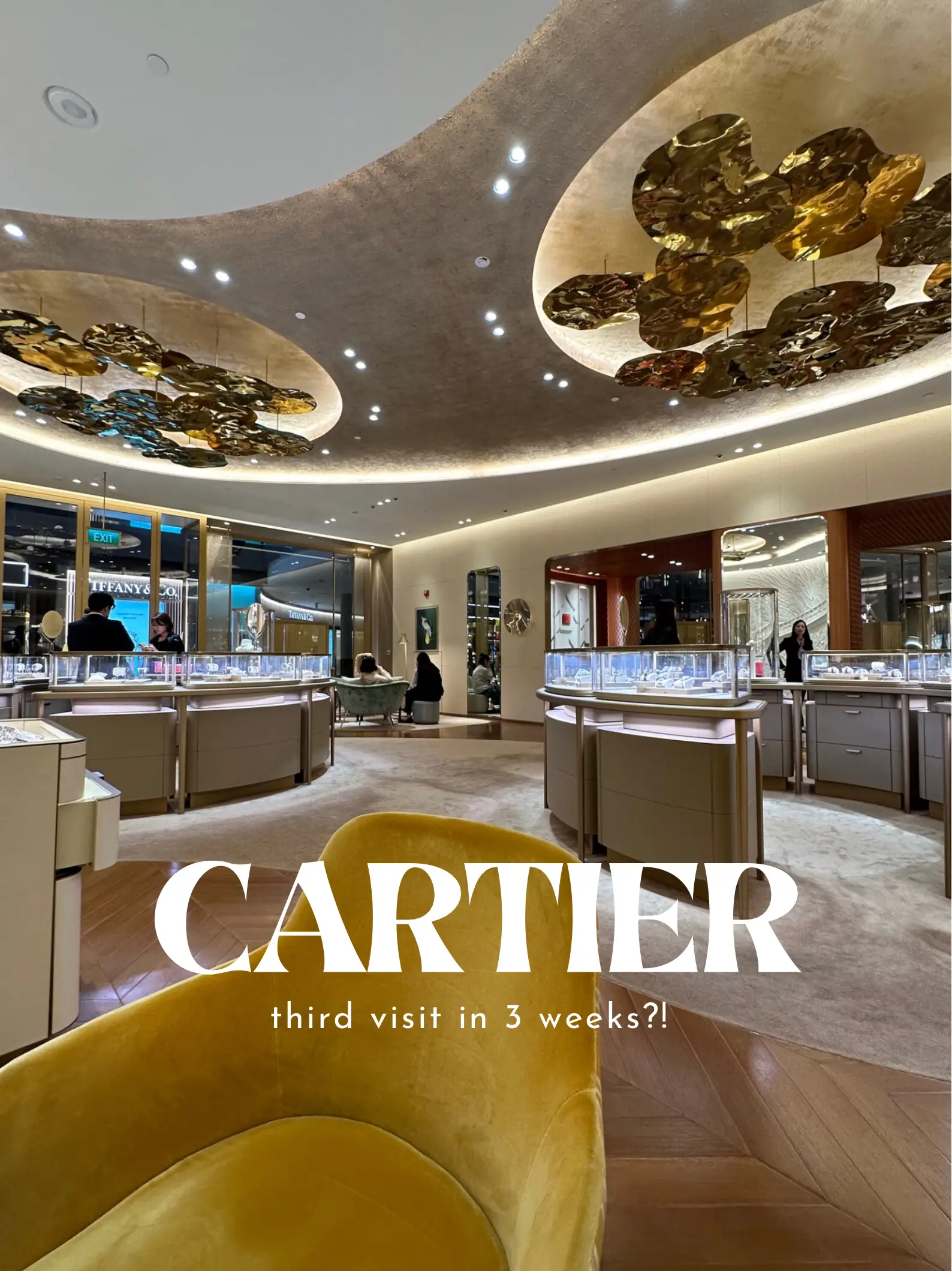 Cartier mbs outlet