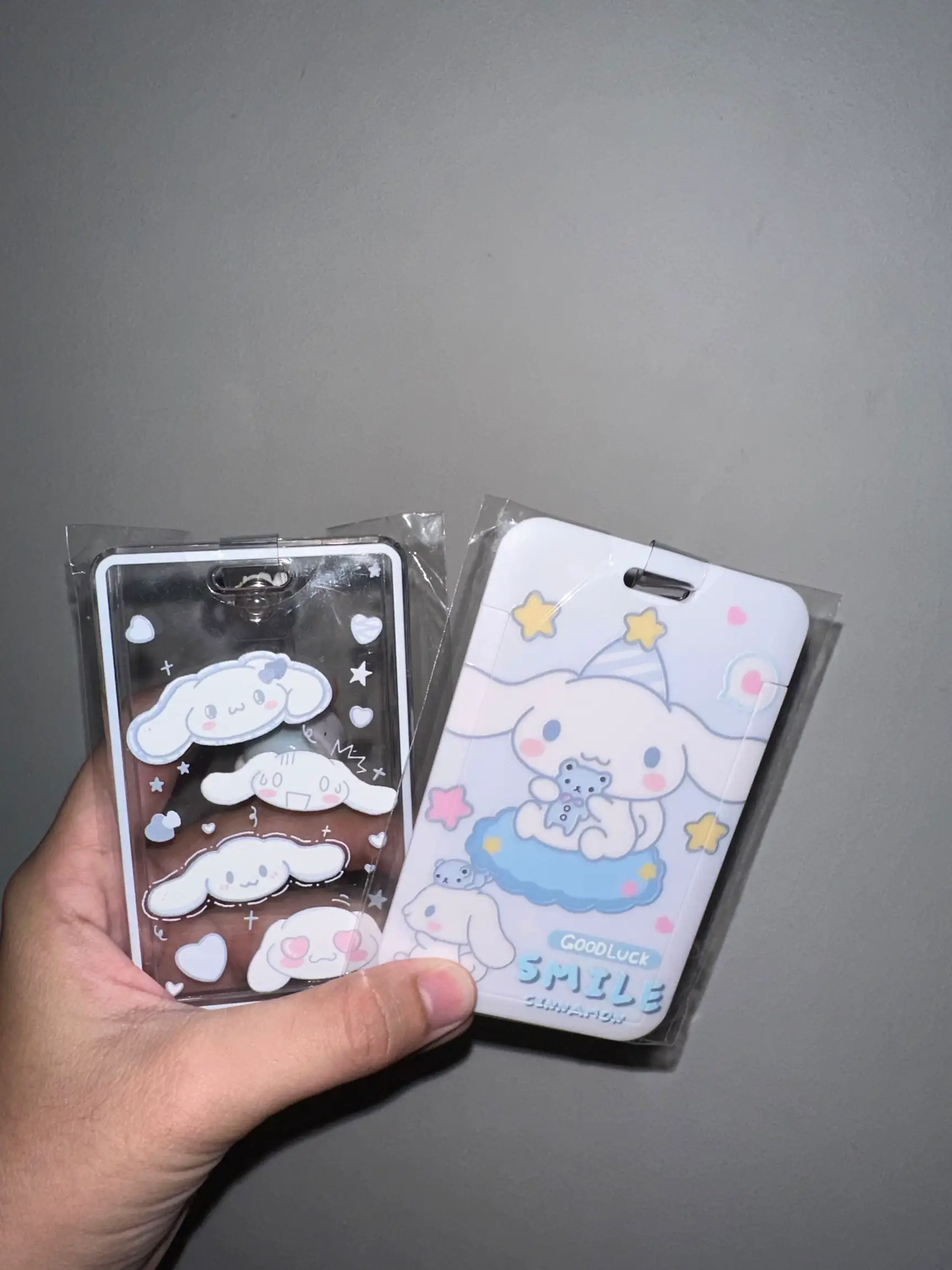 Huge Kawaii Sanrio Cinnamoroll Shopping Haul!! 