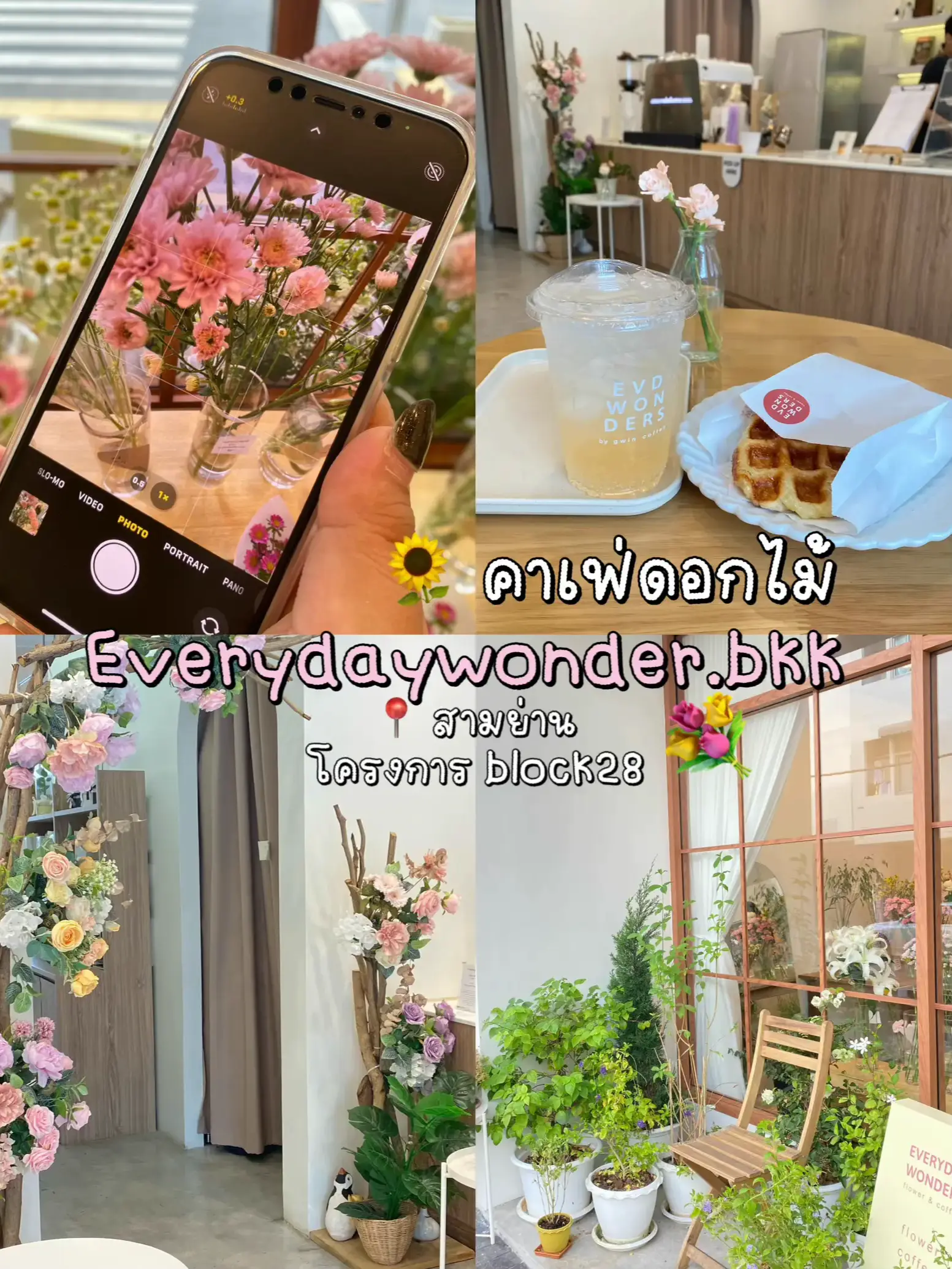 Everyday wonder flower 🌸 แกลเลอรีที่โพสต์โดย mhauyypcr Lemon8