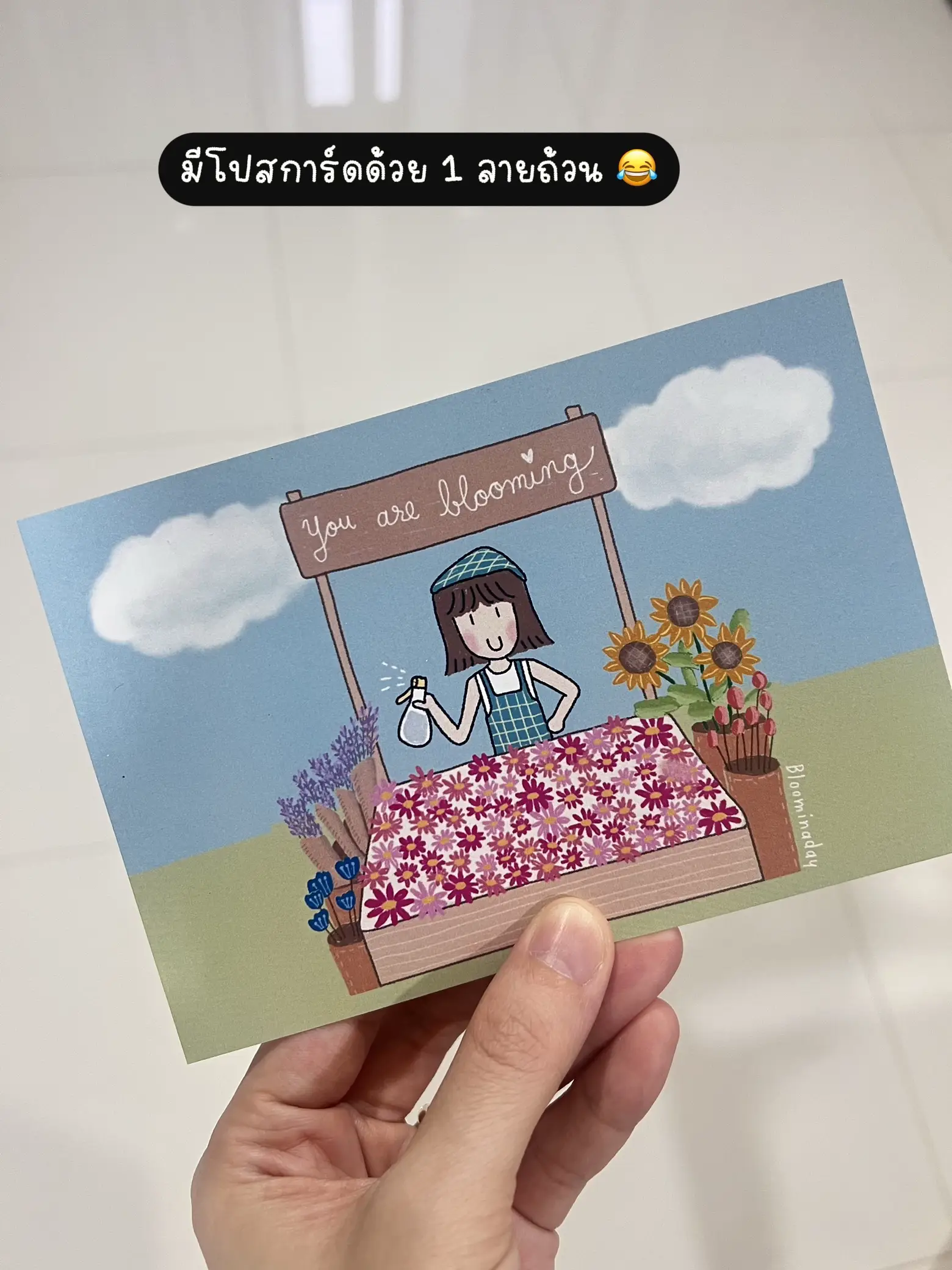 Share the P.A. Follow your dreams. Want to do what you love as a career