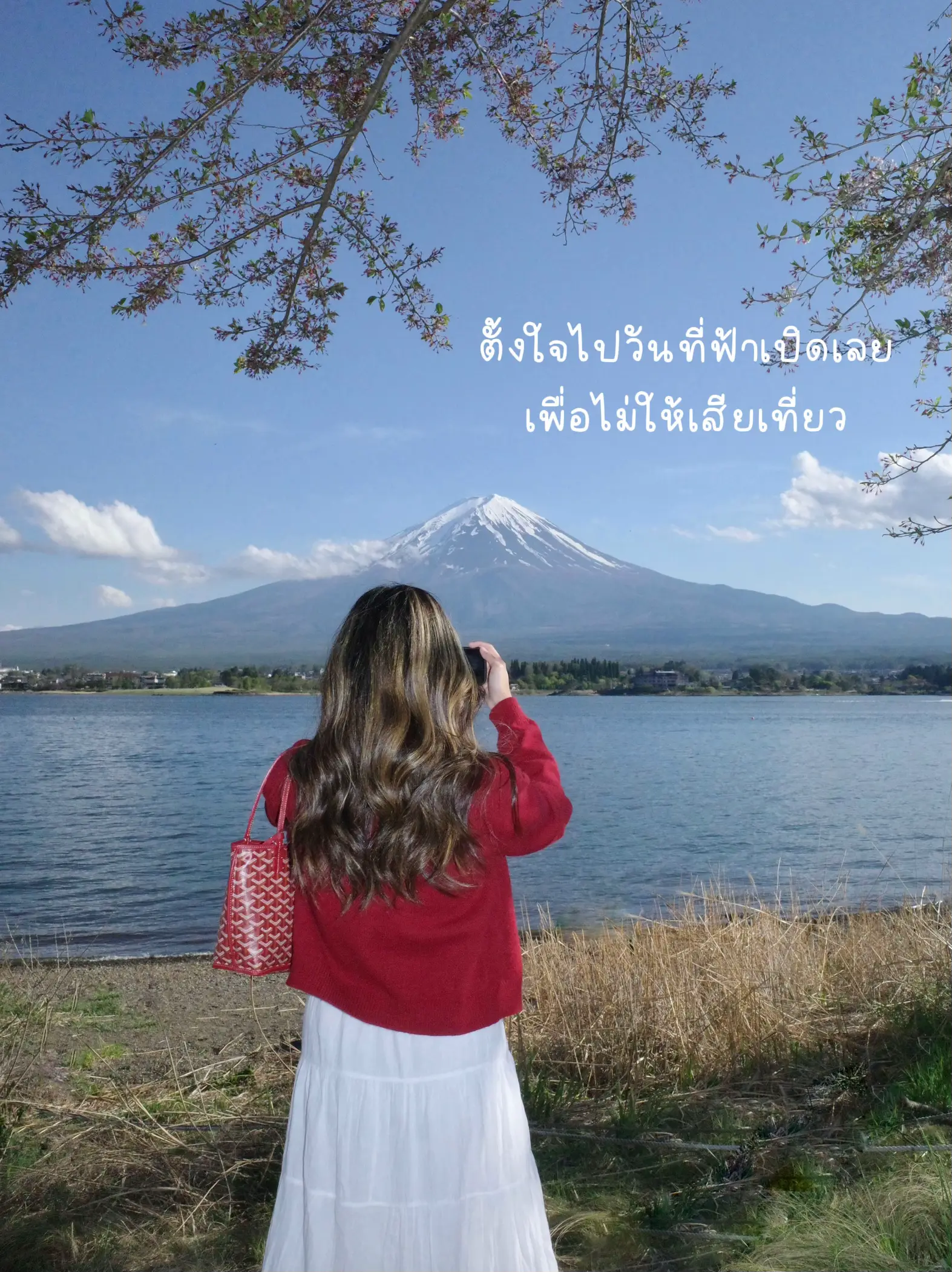fujisan-one-day-trip-varinya
